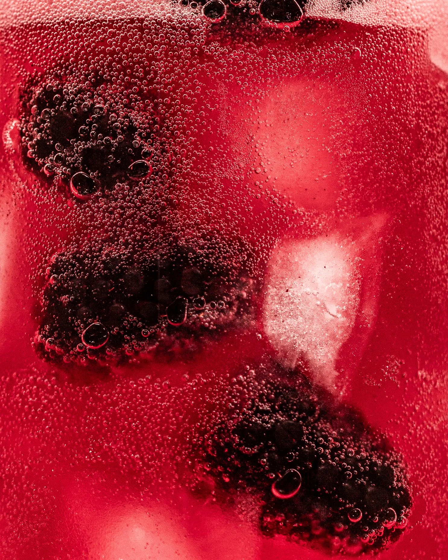 12_RaspberryMacro_4x5_Still2.jpg