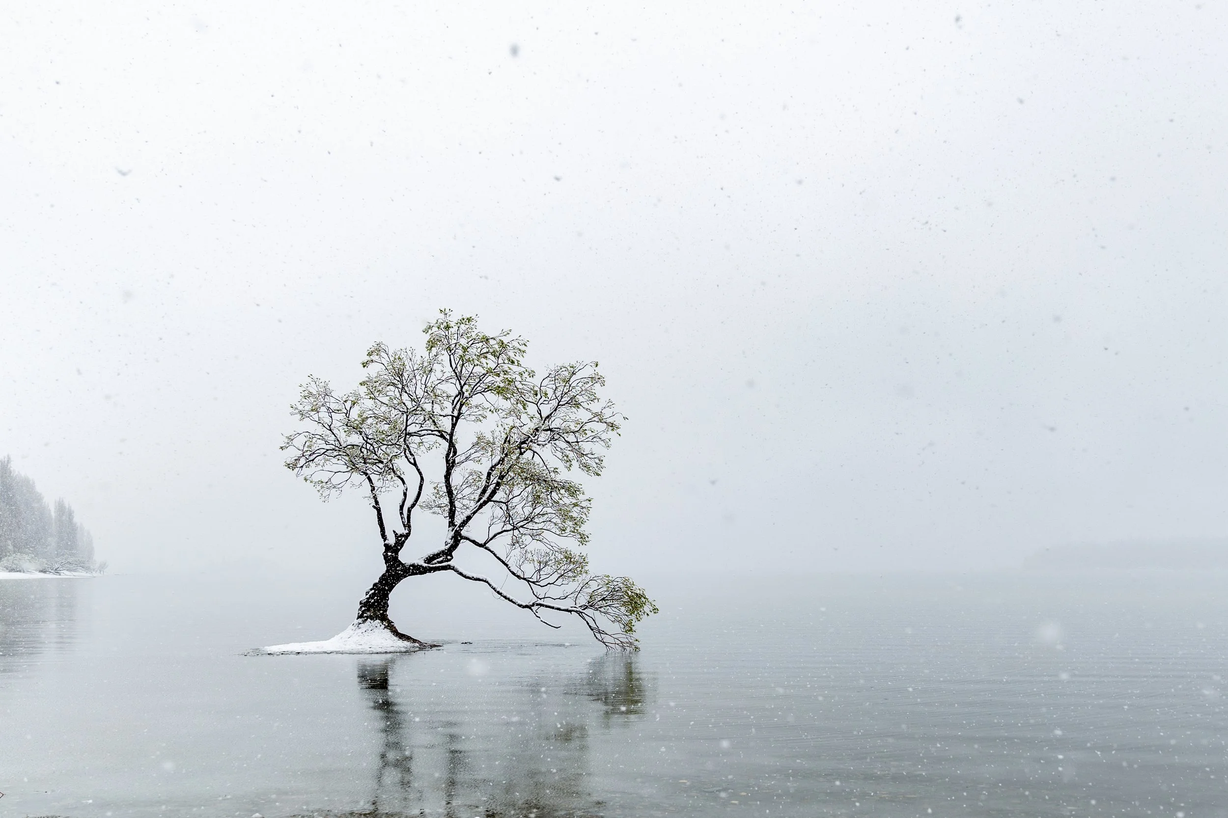 Snow Day Wanaka 17th Sept 2018 - Ray Tiddy 1 2.jpg