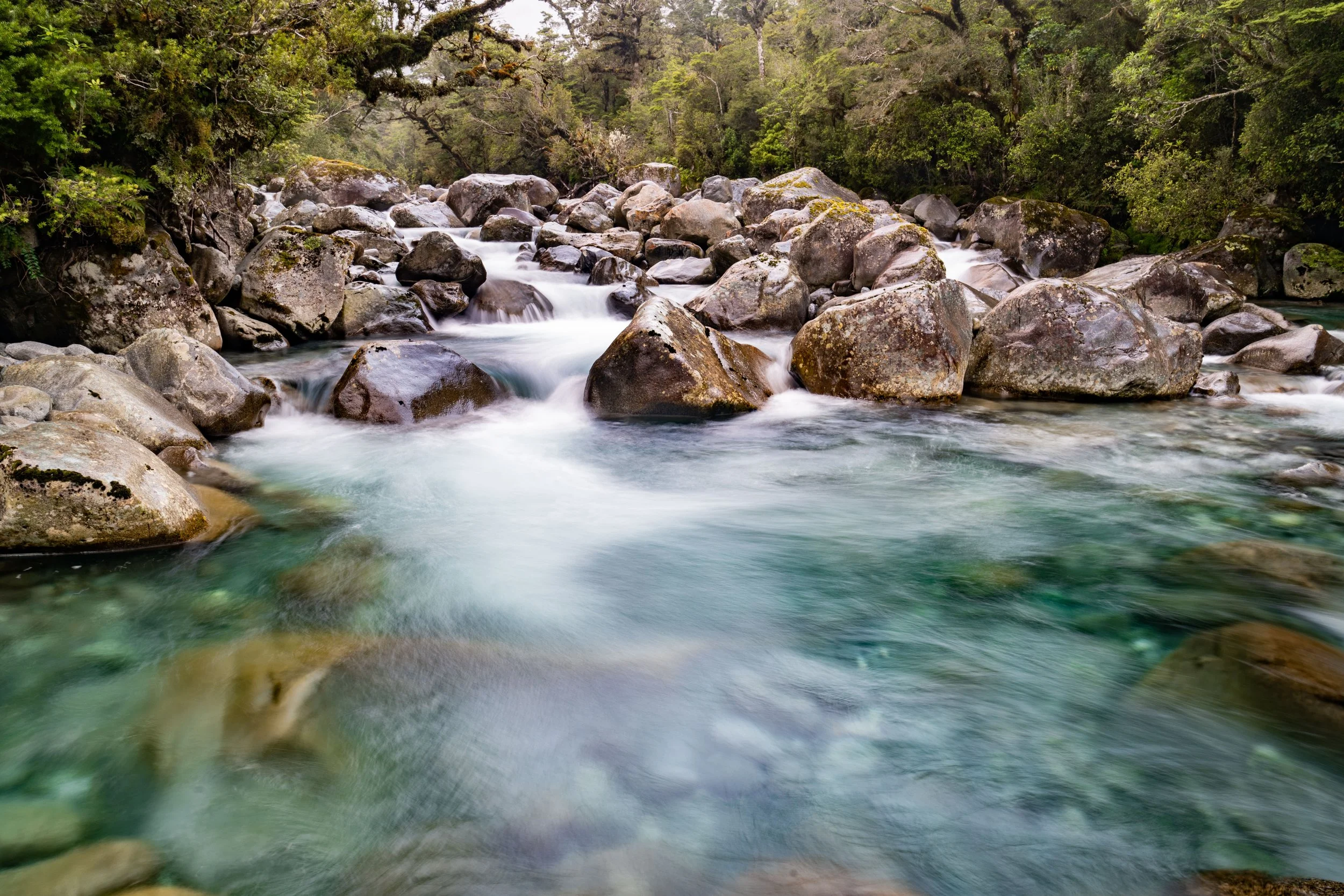 Milford - Donne River  - Ray Tiddy 1.jpg