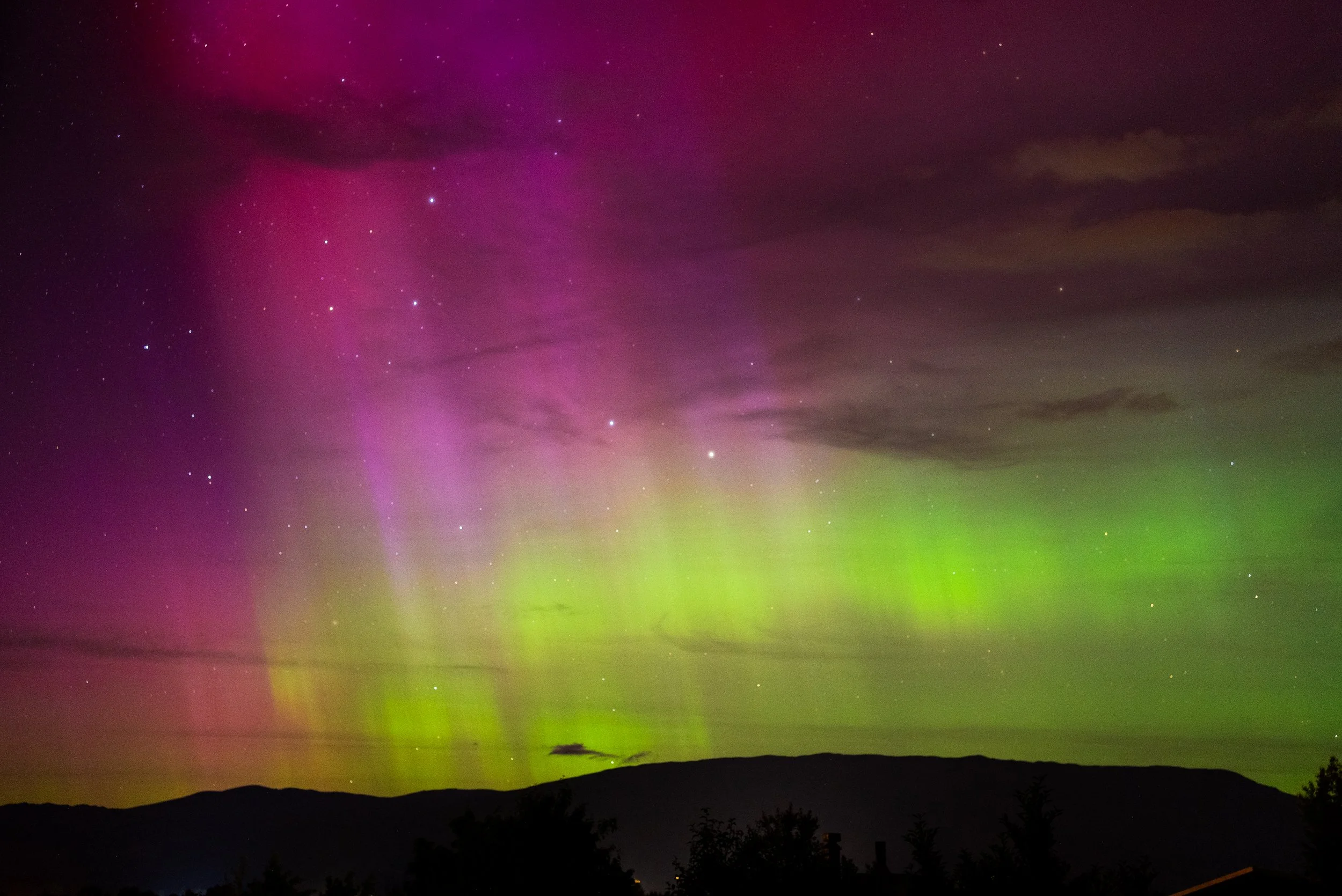 Aurora December 2023 Edit #1- Ray Tiddy 458.jpg