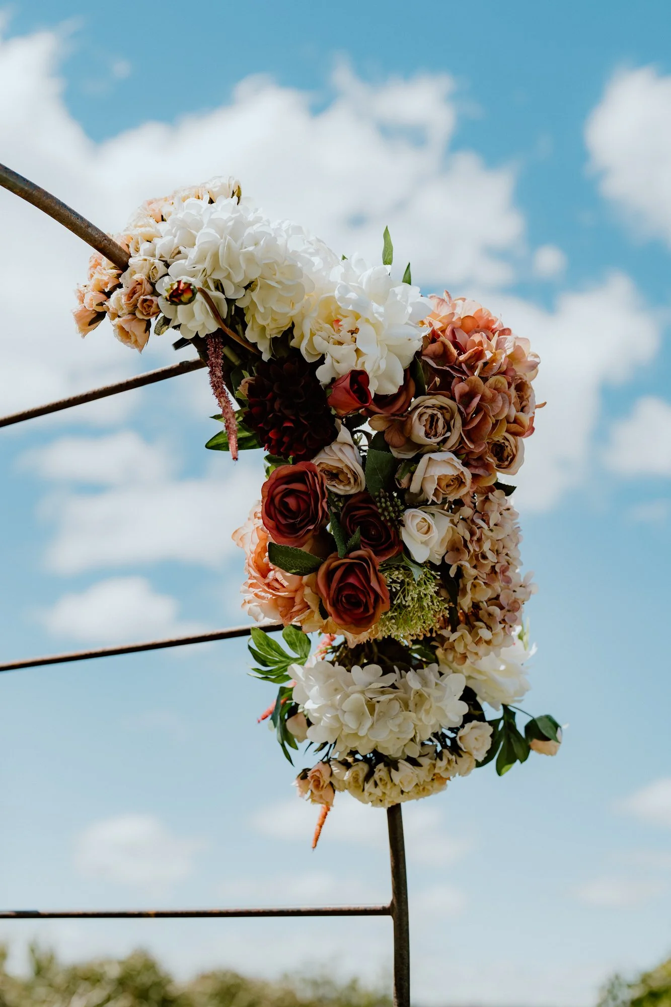 Annaliese + Hamish Low Res - Ray Tiddy 43.jpg