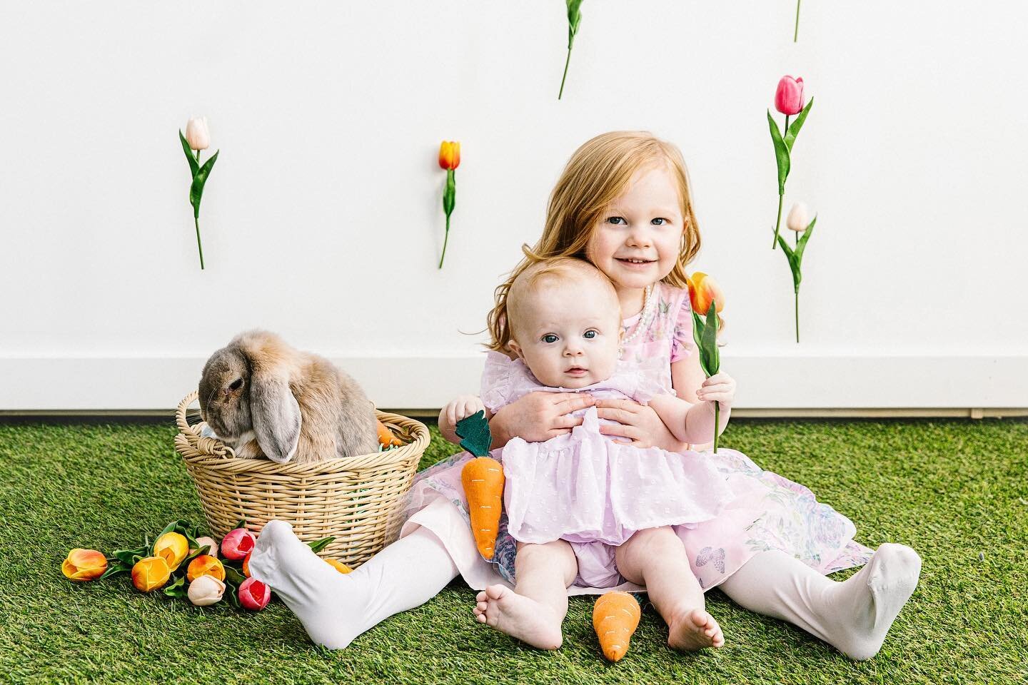 The Easter Bunny sessions were a success! 🐰🐣🥕

Happy Easter, everyone!

#happyeaster #easterbunny #bunnies #spring #minneapolisphotographer #kidsphotographer