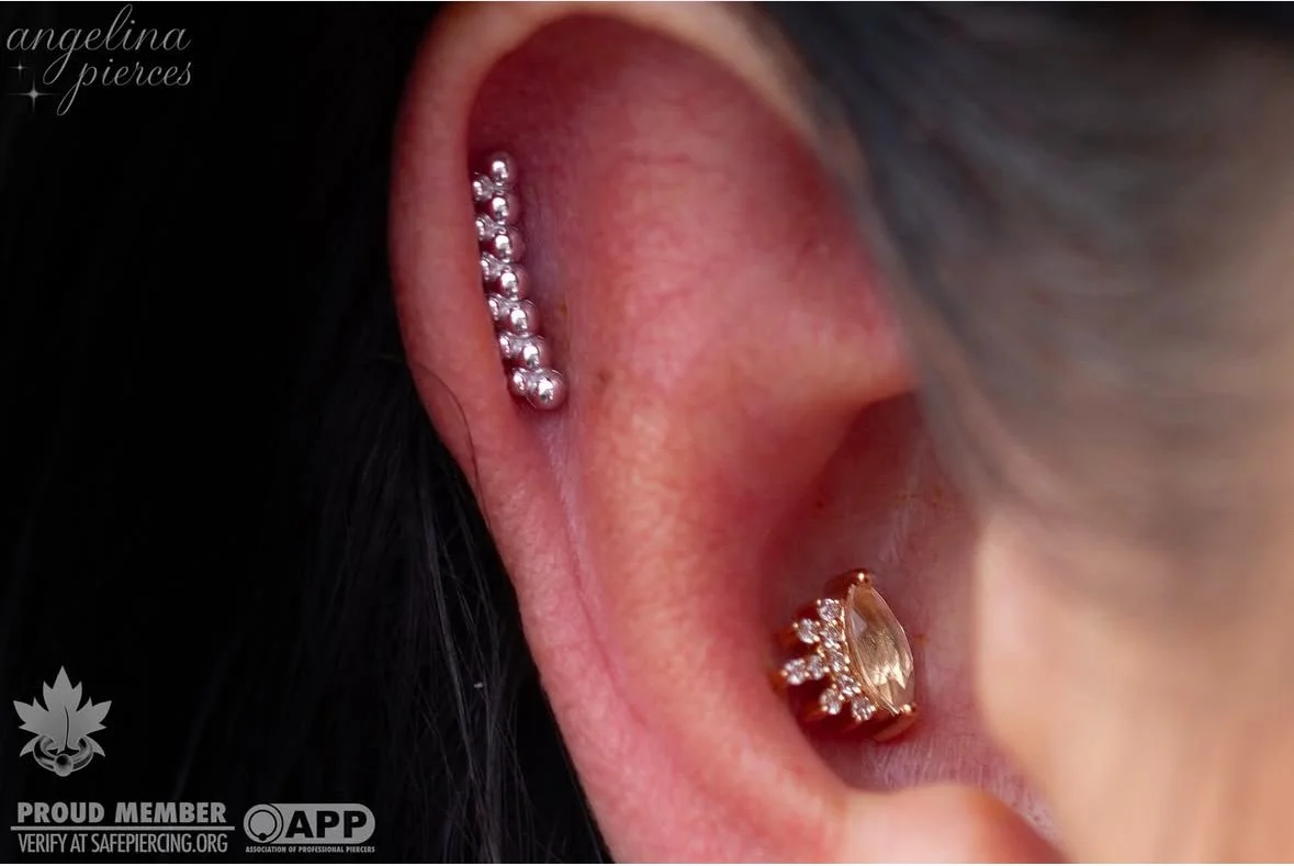 Screenshot 2025-01-13 at 10.12.22 AM.jpeg