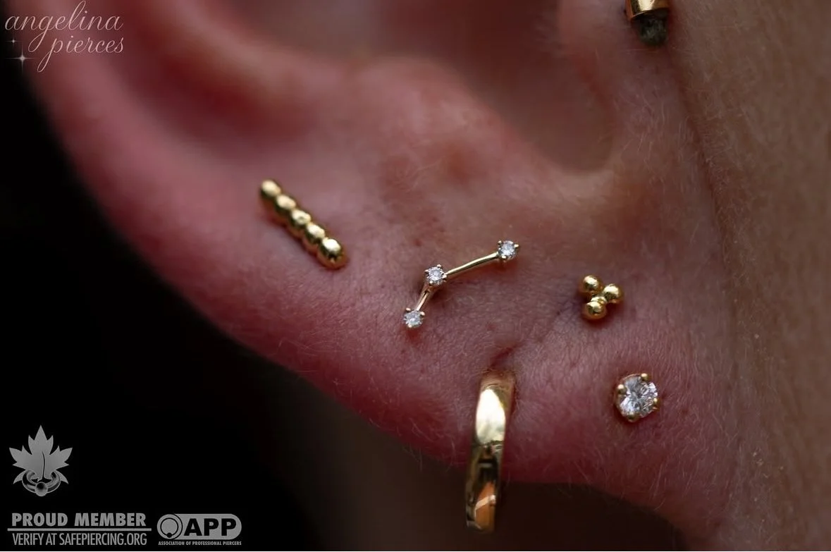 Screenshot 2025-04-03 at 12.33.37 PM 2.jpeg