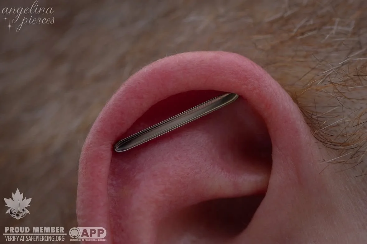 Screenshot 2025-04-03 at 12.36.59 PM.jpeg