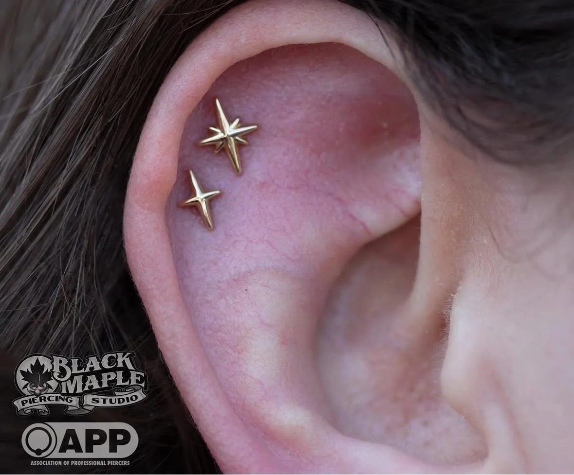 Screenshot 2025-04-03 at 12.38.25 PM.jpeg