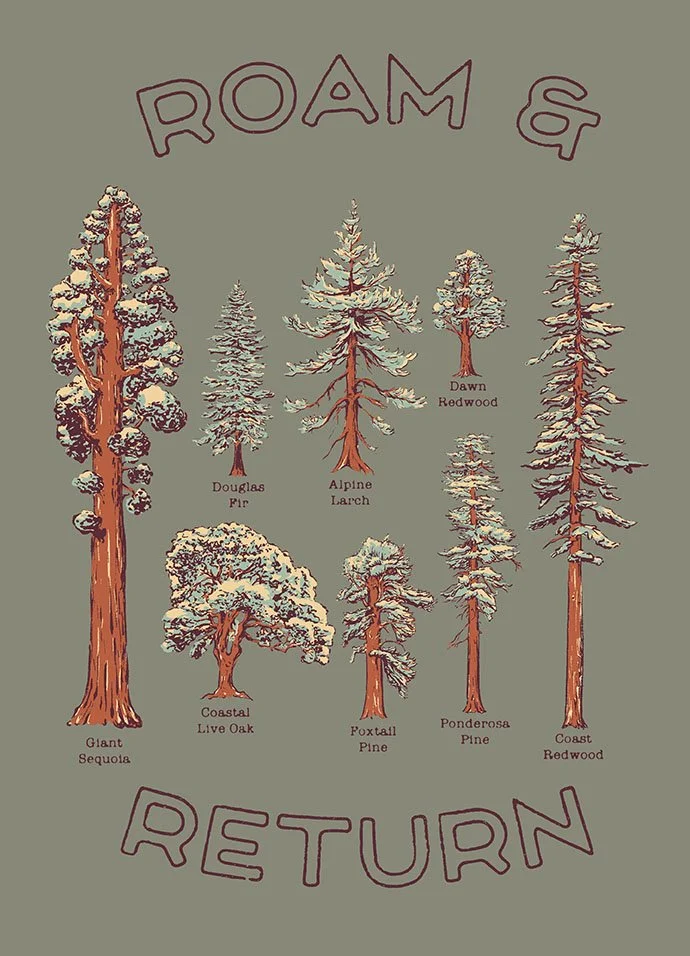 TREE ROAM AND RETURN.jpg