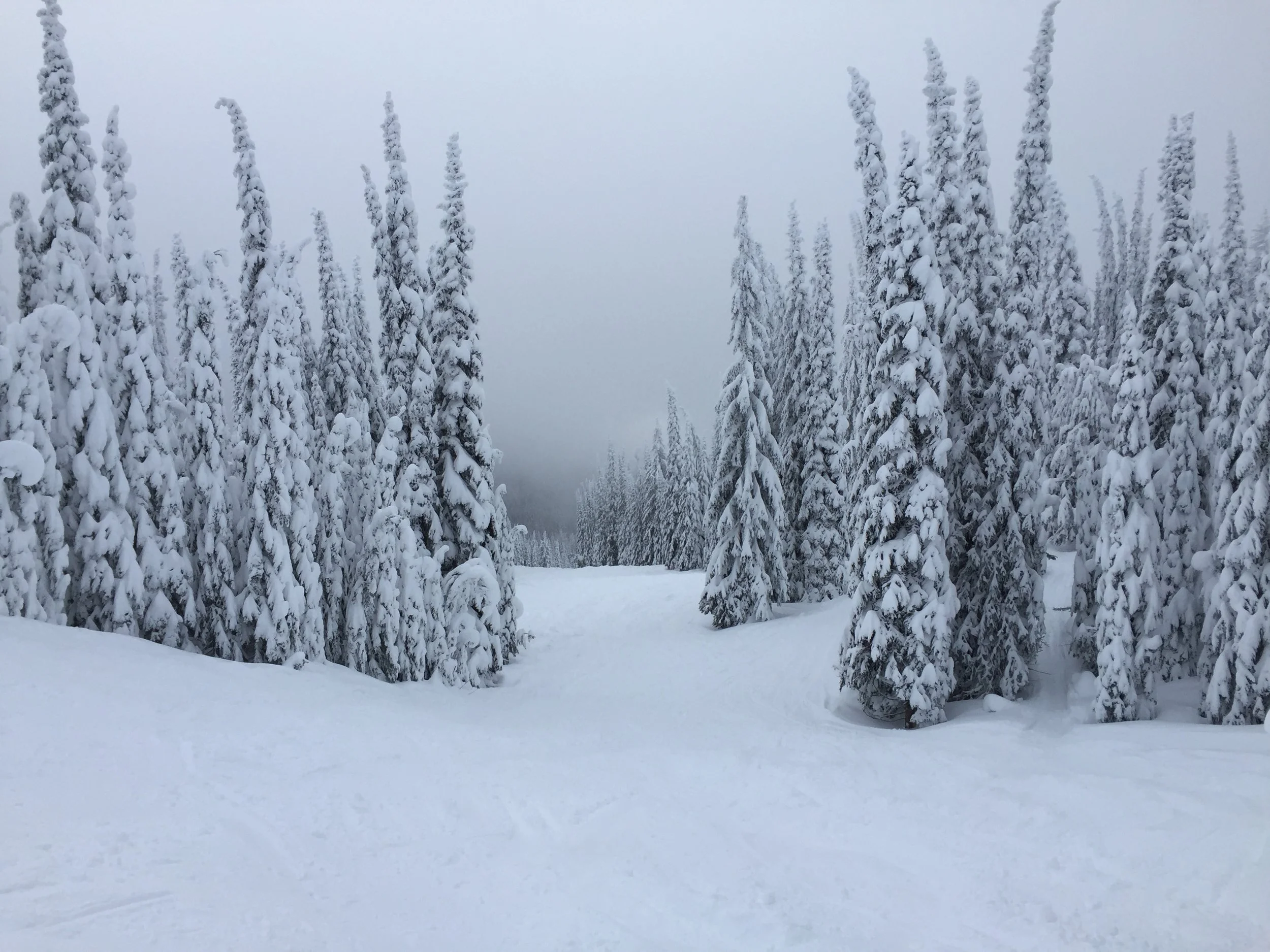 Christmas-2015- (20).JPG