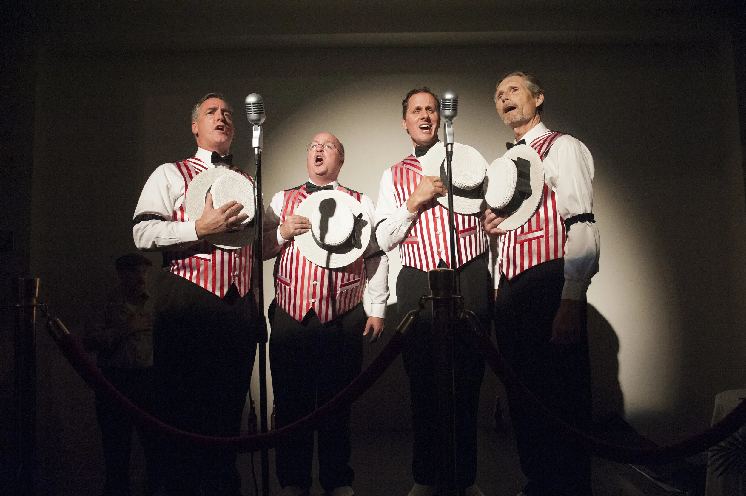 Bagavagabonds20141120TN-9729 2.jpg