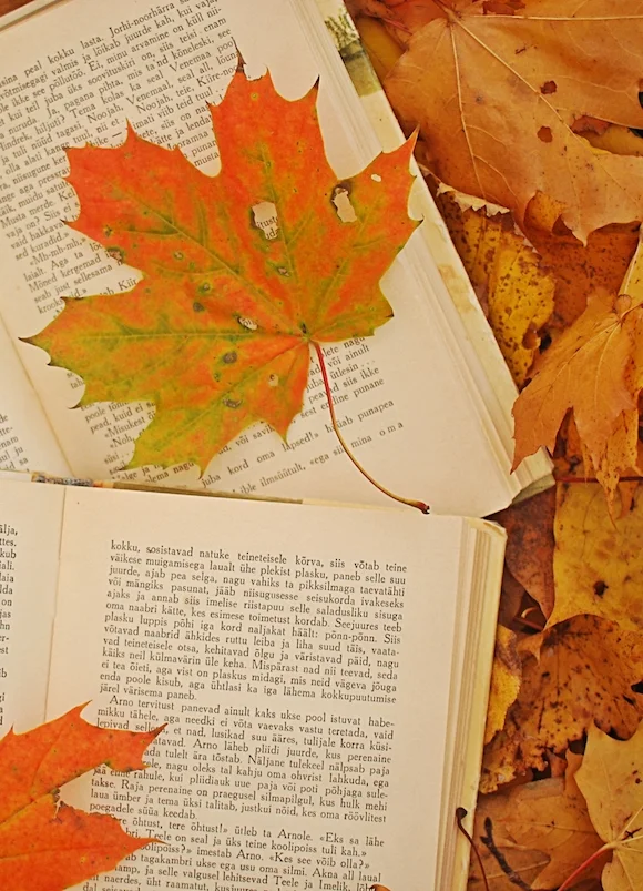 6361486405959504851954597286_fall reading guide.jpg