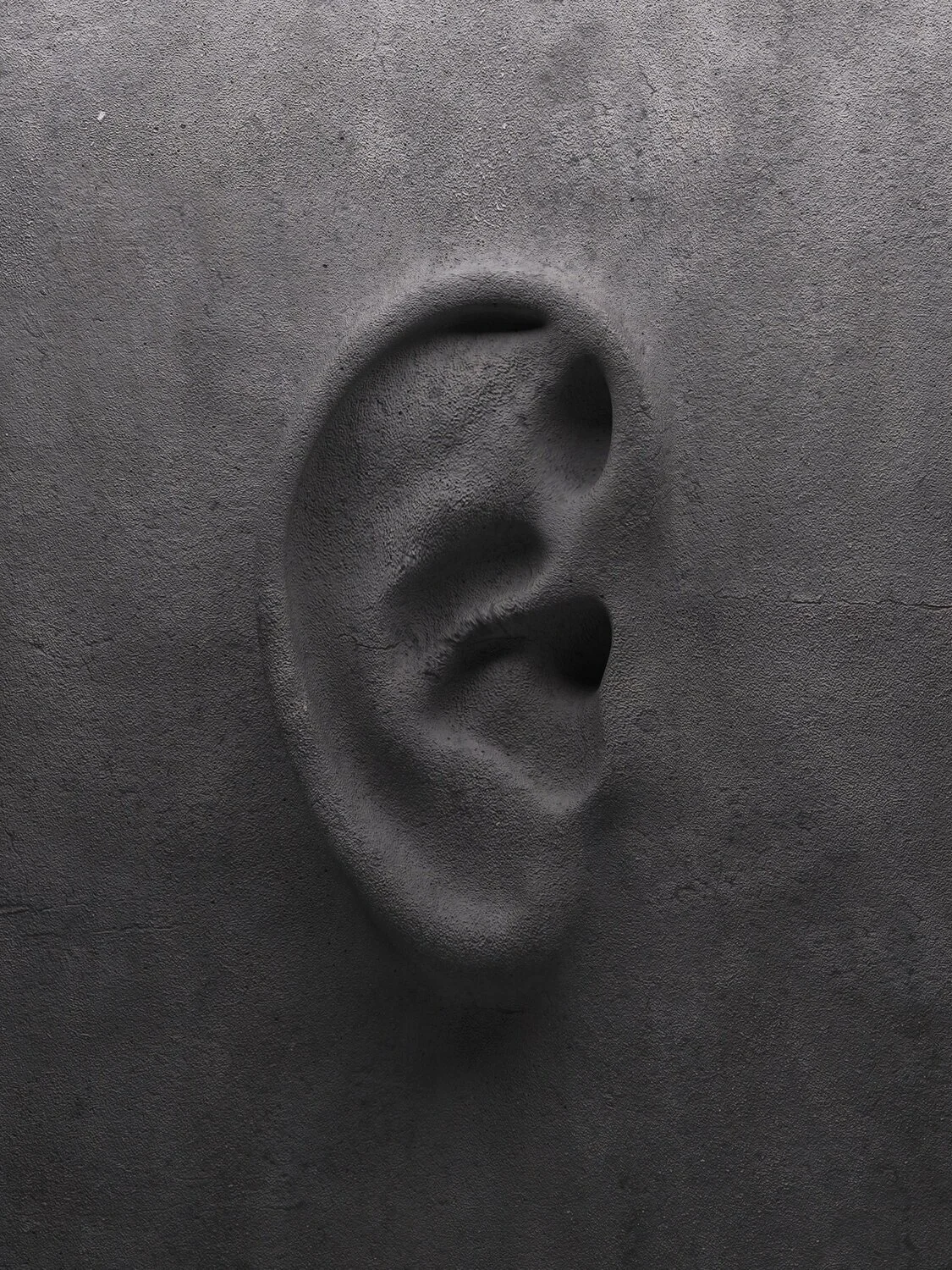 496888358
