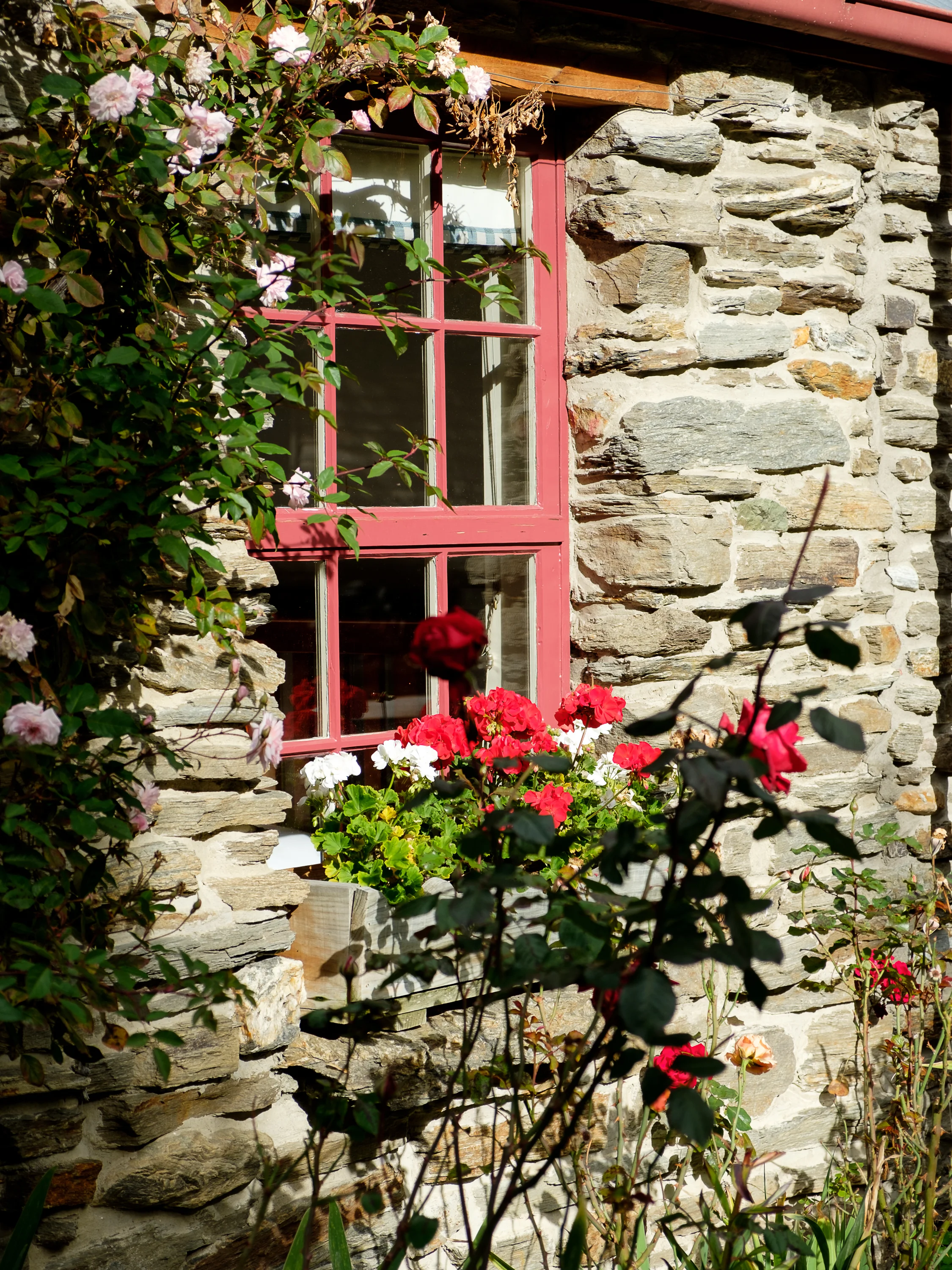 Window in the sun.jpg