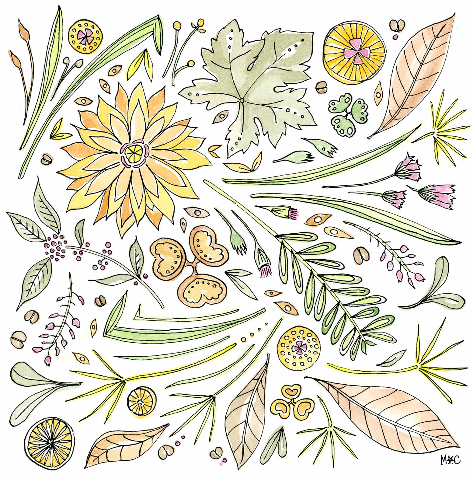 Floral Drawing Sea1Clean_web SM.jpg