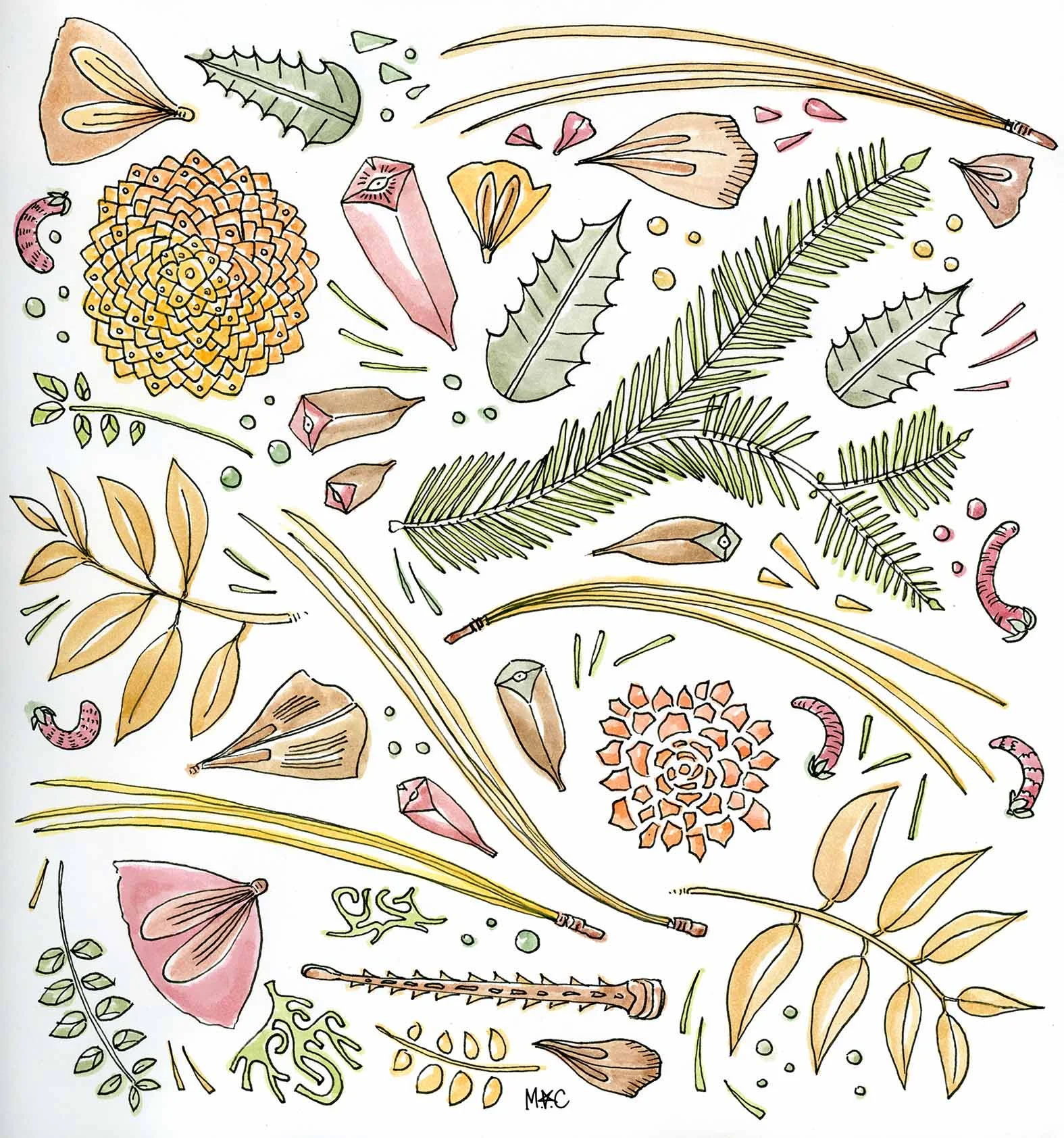 Floral Drawing Cabin2_web SM.jpg