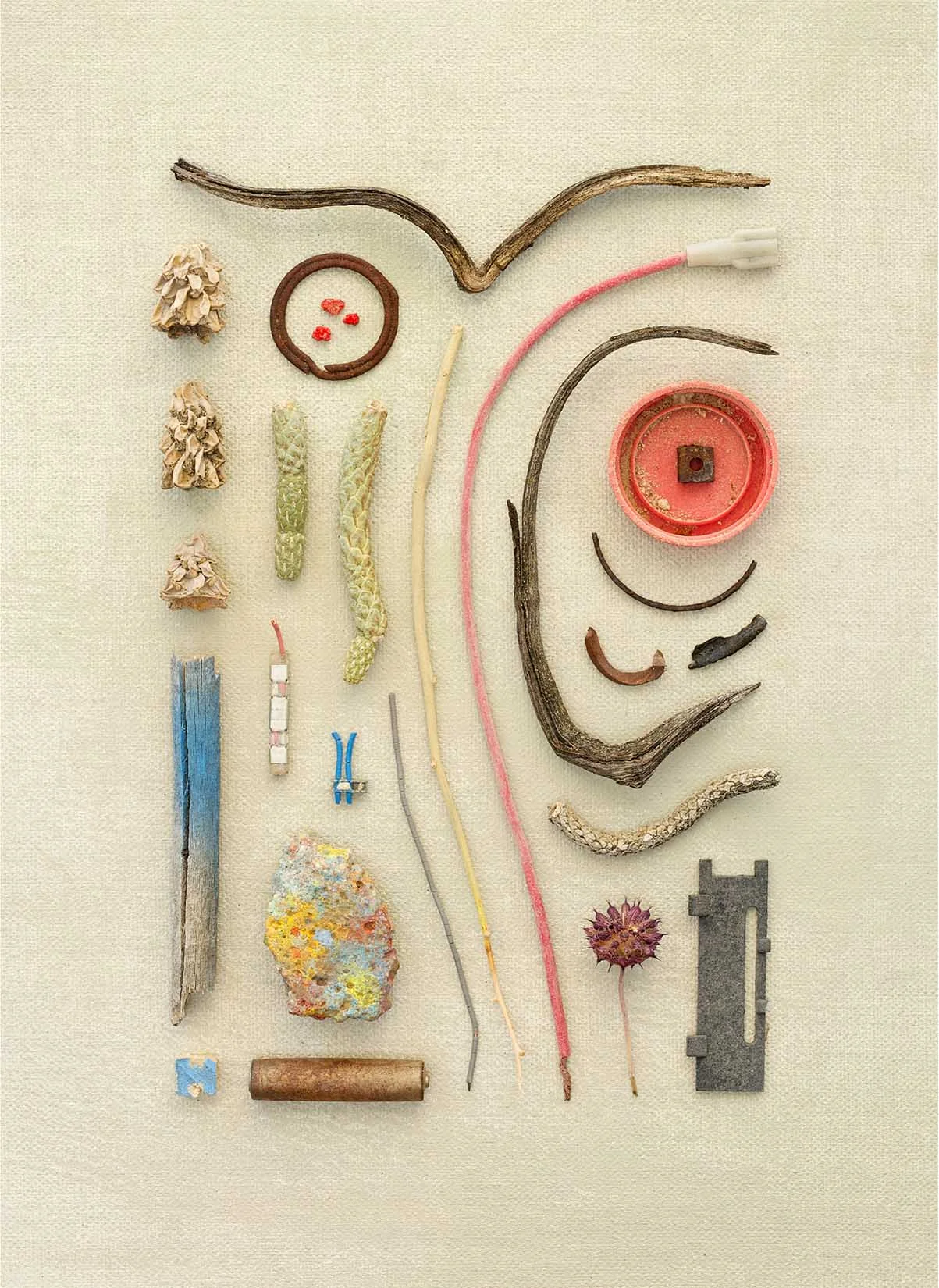 JT2015_DSC_0710 Web SM.jpg