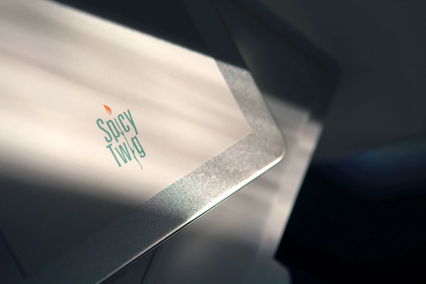 SpicyTwig Logo SM.jpg