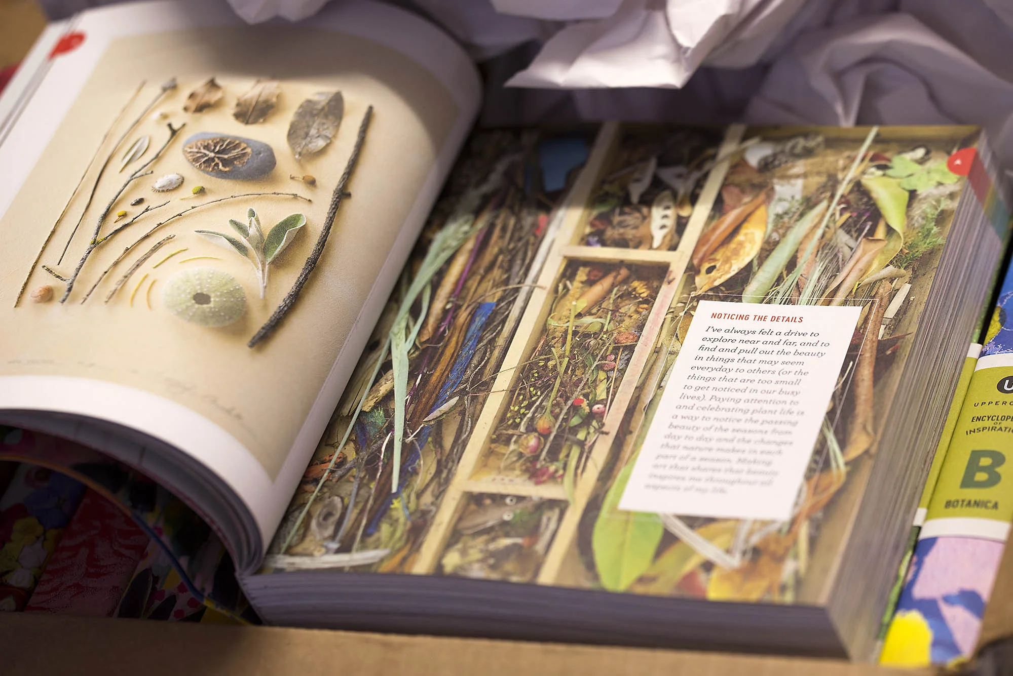  A PEEK AT THE BOTANICA BOOK! 
