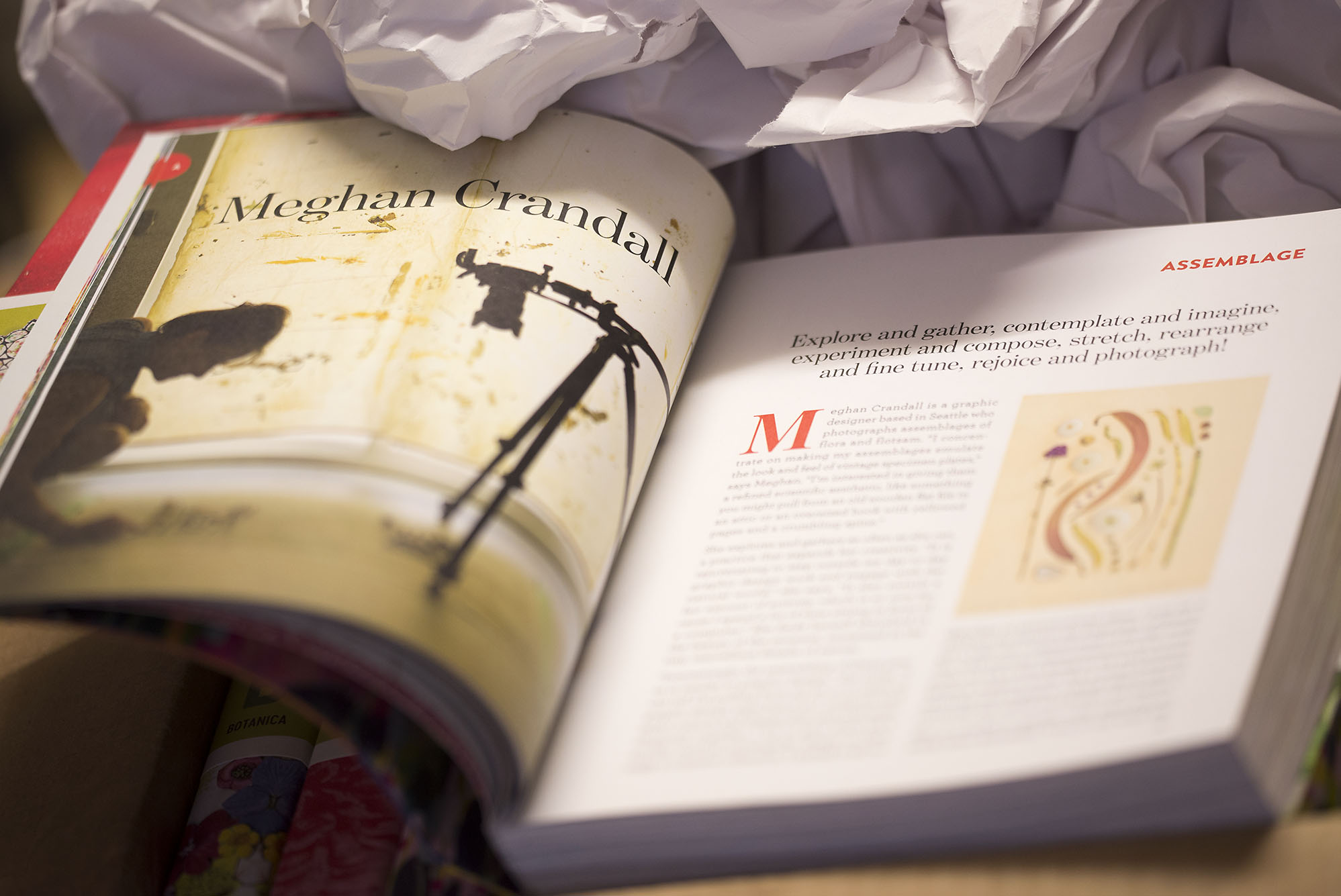  A PEEK AT THE BOTANICA BOOK! 