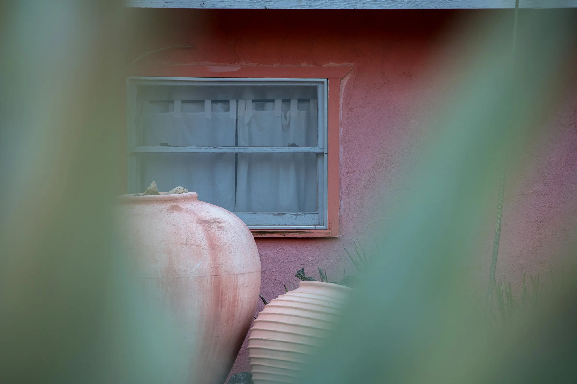 DSC_1216.jpg