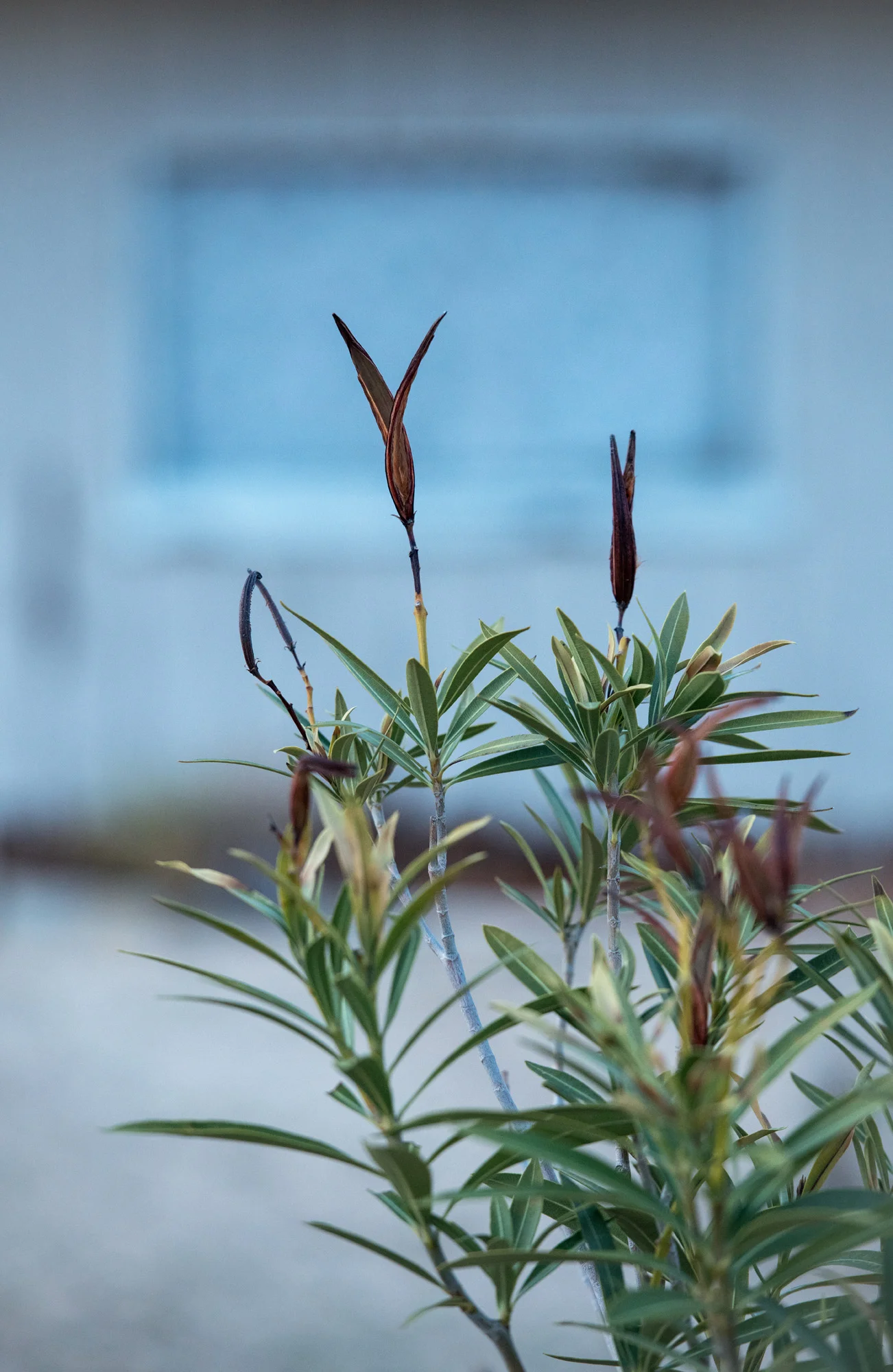 DSC_1249.jpg