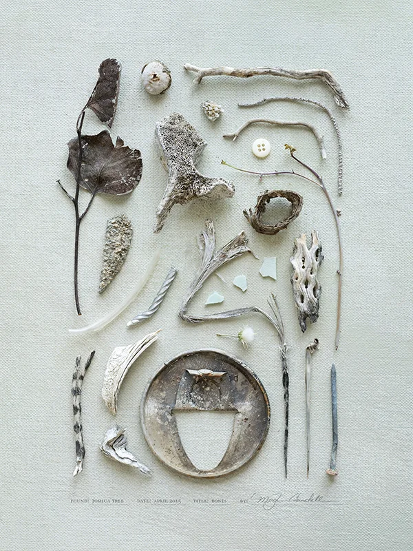 M_Crandall_Bones.jpg