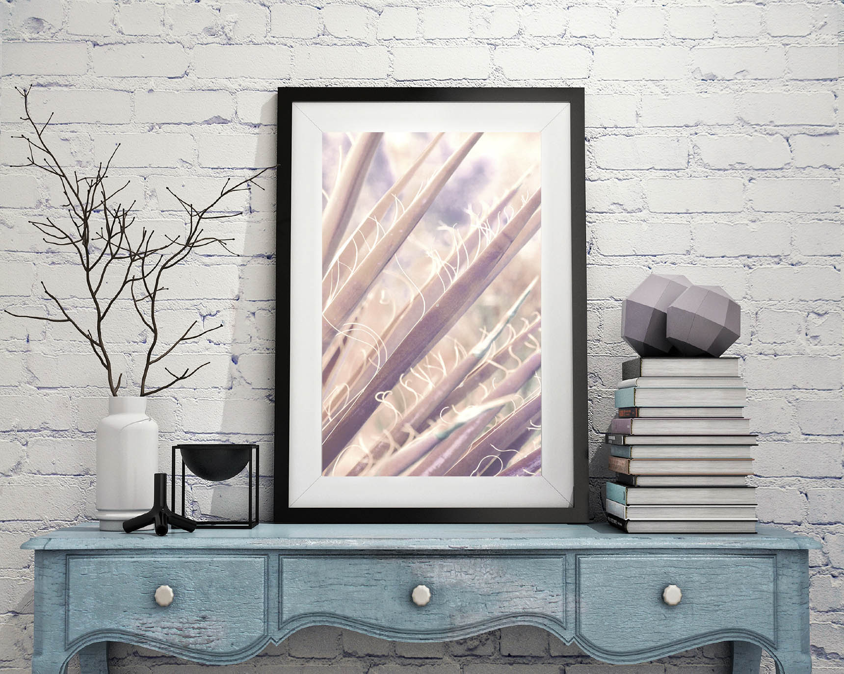 joshua_tree_cactus4_kick_spark©.jpg