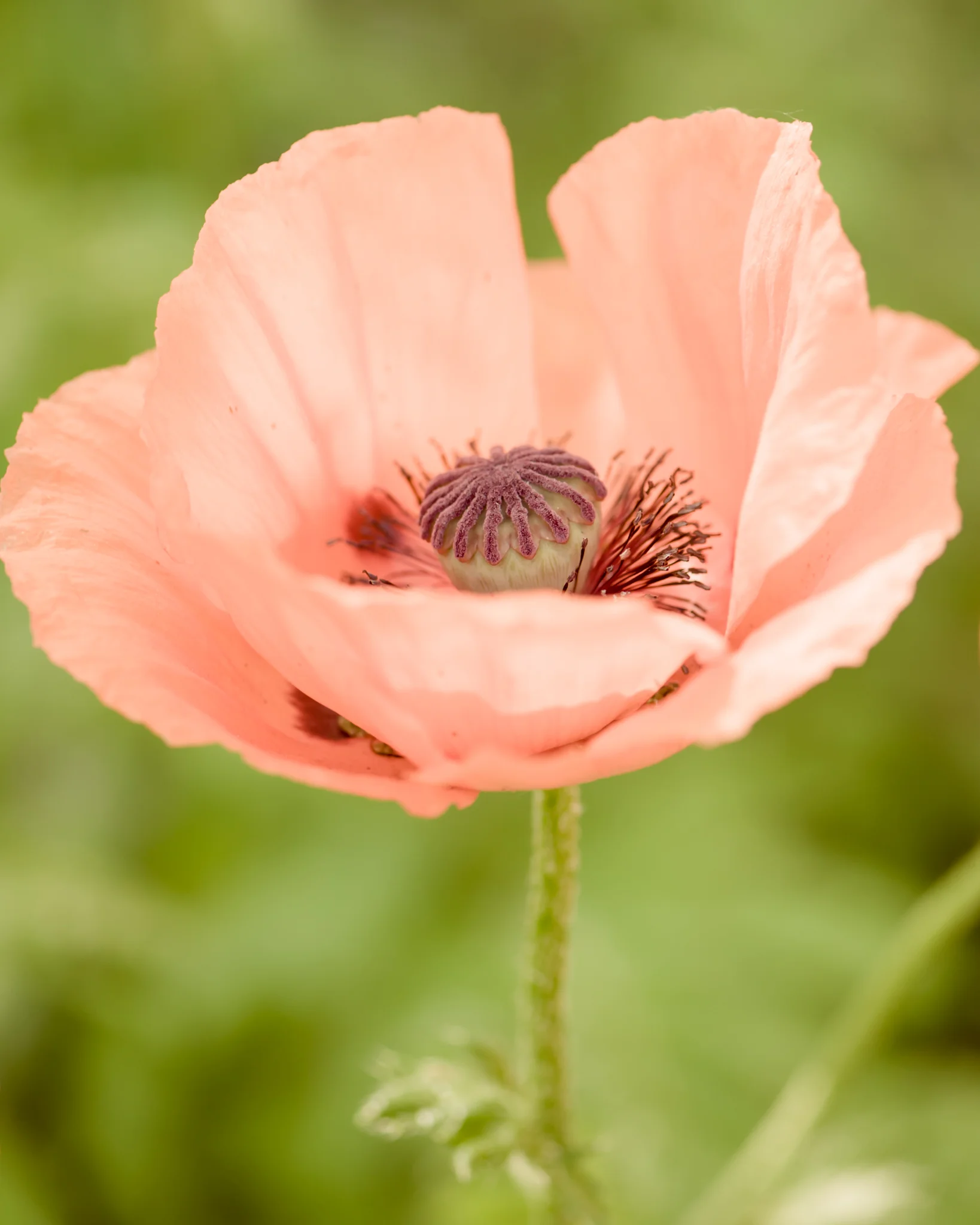 DSC_1840.jpg