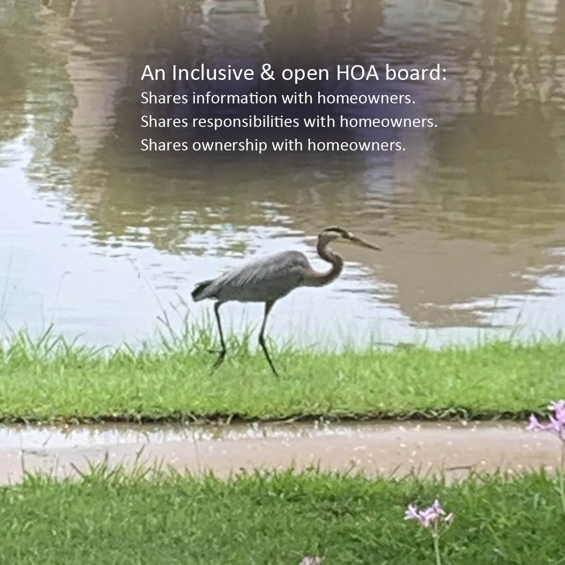 Photo of a bird, a grey heron by the lake,  caption reads, An Inclusive & open HOA and board 