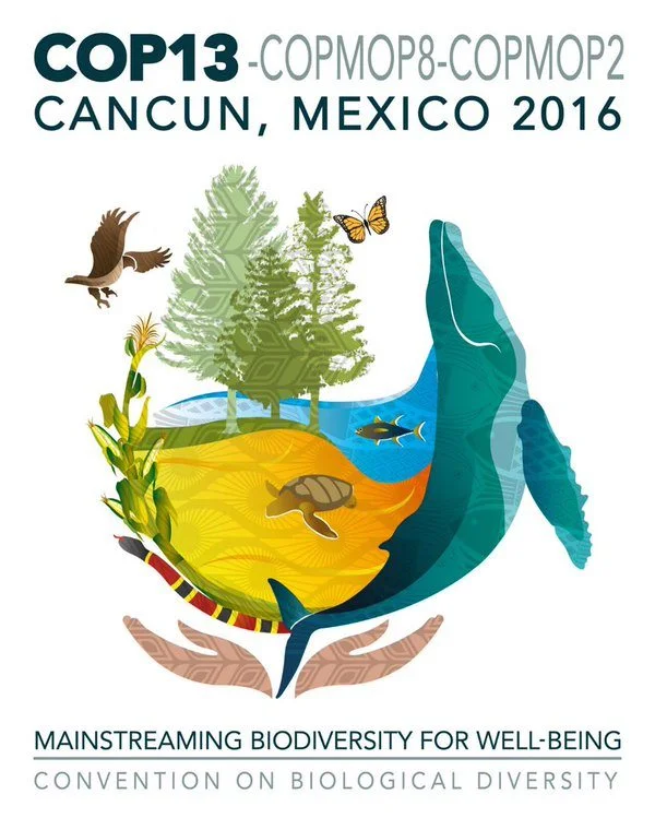 Logotipo de la COP13. Reproducido de https://whc.unesco.org/en/news/1601