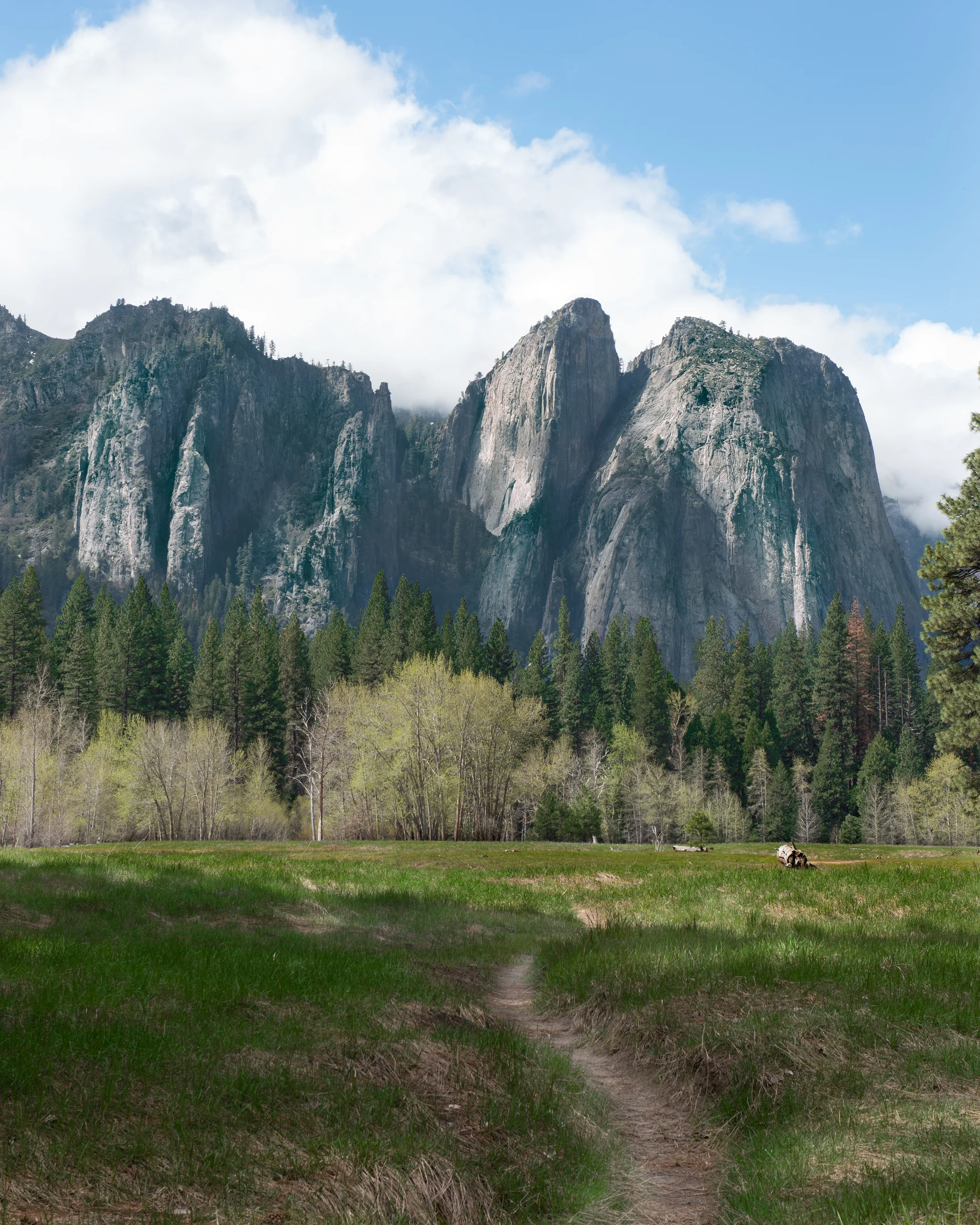 Yosemite Valley rocks trees - Web Prepared.jpg