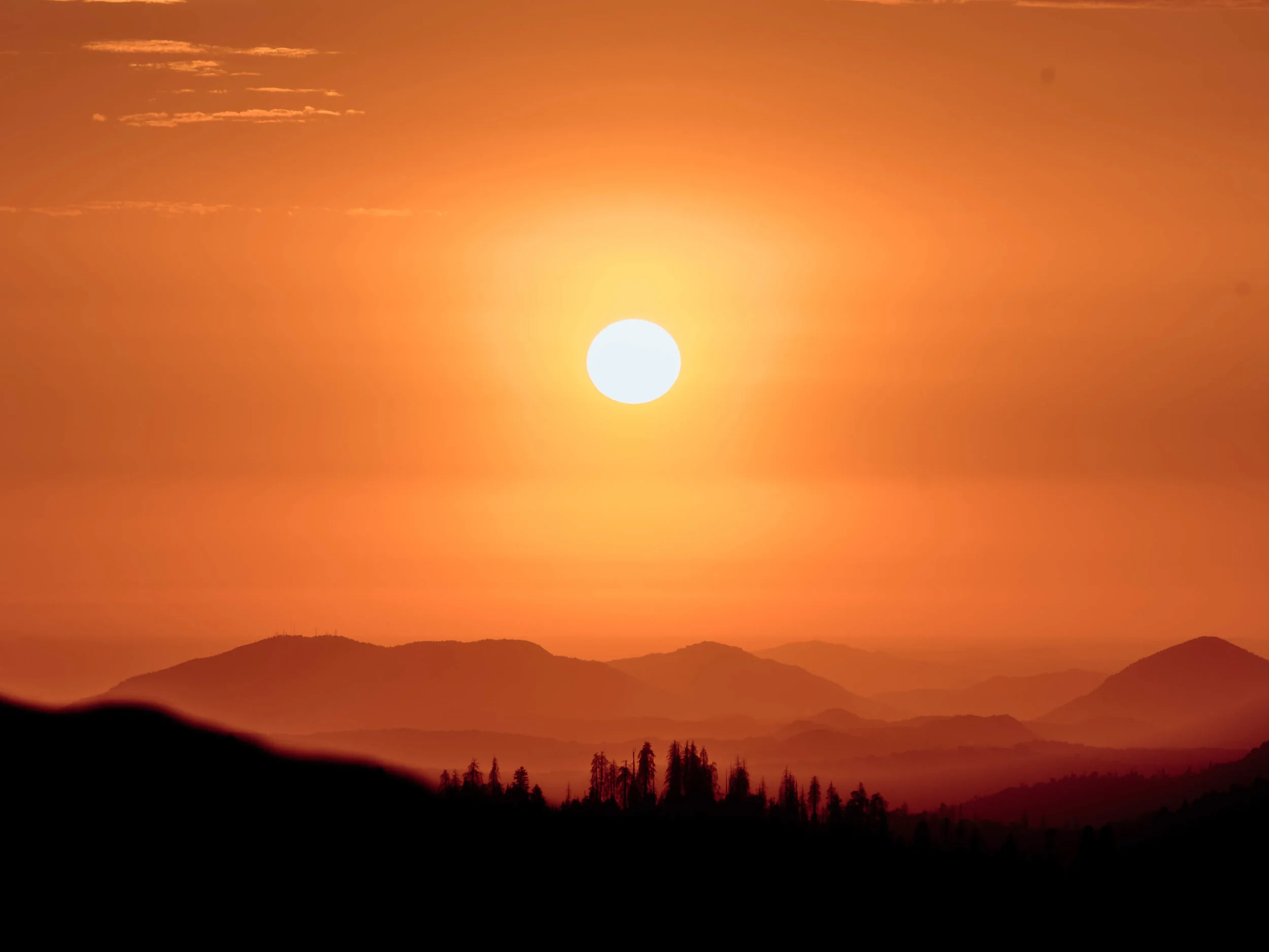 YOM_0285-3.jpg