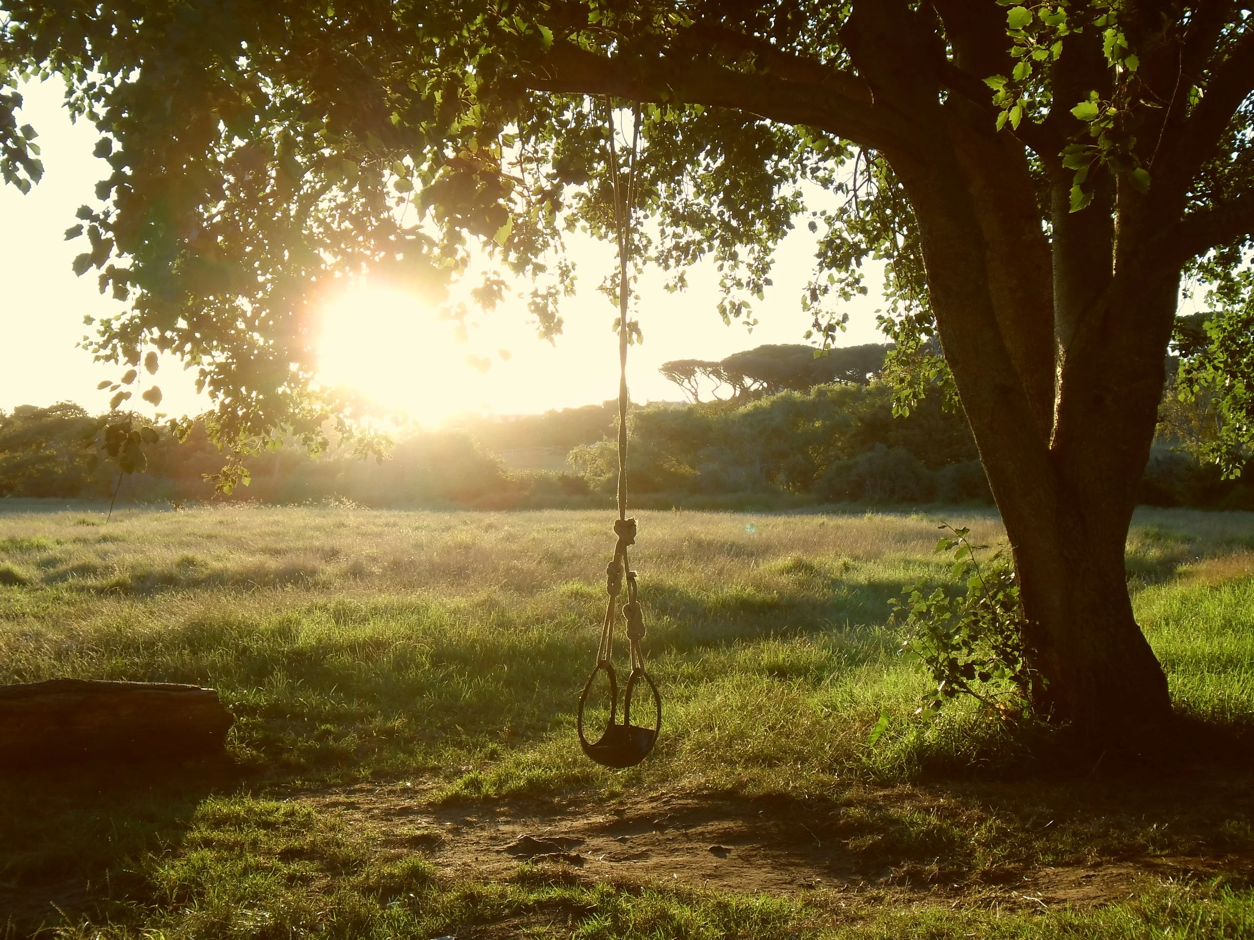picniccommon02.jpg