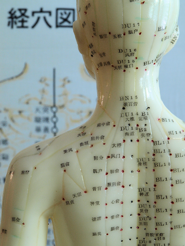In traditional Chinese medicine, acupuncture is linked to the belief that disease is caused by disruptions to the flow of energy, or qi, in the body. Inserting hair-thin needles into acupuncture points under the skin release this qi. The qi then travels through channels called meridians. Ultimately acupuncture is a remarkably simple technique that depends entirely upon one thing: the stimulation of the peripheral nervous system. By promoting blood flow & creating micro-traumas acupuncture induces the body’s ability to heal injuries to the tissue through nervous system, immune and endocrine activation. As the body heals the micro traumas, it also heals surrounding tissue damage. Acupuncture releases natural painkillers through neuro-hormonal pathways, and studies show that acupuncture also works by reducing pro-inflammatory markers, or proteins, in the body which decrease inflammation and further reduce chronic pain. Acupuncture treats conditions from chronic pain, to psycho-emotional disorders, fertility and female health, to digestive disorders. The major differences between Eastern and Western medicine is in the usage. Western medicine is focused on the treatment of acute disease. Many tests performed in western medicine will not be triggered as abnormal unless the person being tested is already very sick. If a person goes to see a doctor complaining of headaches, digestive problems, fatigue and insomnia, and the tests come back “normal”, the patient is told there's nothing wrong. Which is clearly not the case. As acupuncturists, we see symptoms as manifestations of an underlying disease process. This progression from malfunction -> disease process -> symptom can take years. So we address the symptom AND the disease process. Even when that disease process hasn't yet become acute. We also believe that a disease process can give rise to many different symptoms that may seem unrelated. For example, headaches, heartburn and skin rashes may all be expressions of the same underlying problem that has not yet manifested. This is why we want to know all about all the facets of your body. Your sleep habits, your digestion, your bowel movements, your body temperature. We're simply looking at your body as a whole and trying to determine what imbalances are present in your body and where you are in the disease process. Because we ideally help create balance in your body and reverse the disease process before it turns into an acute condition.
