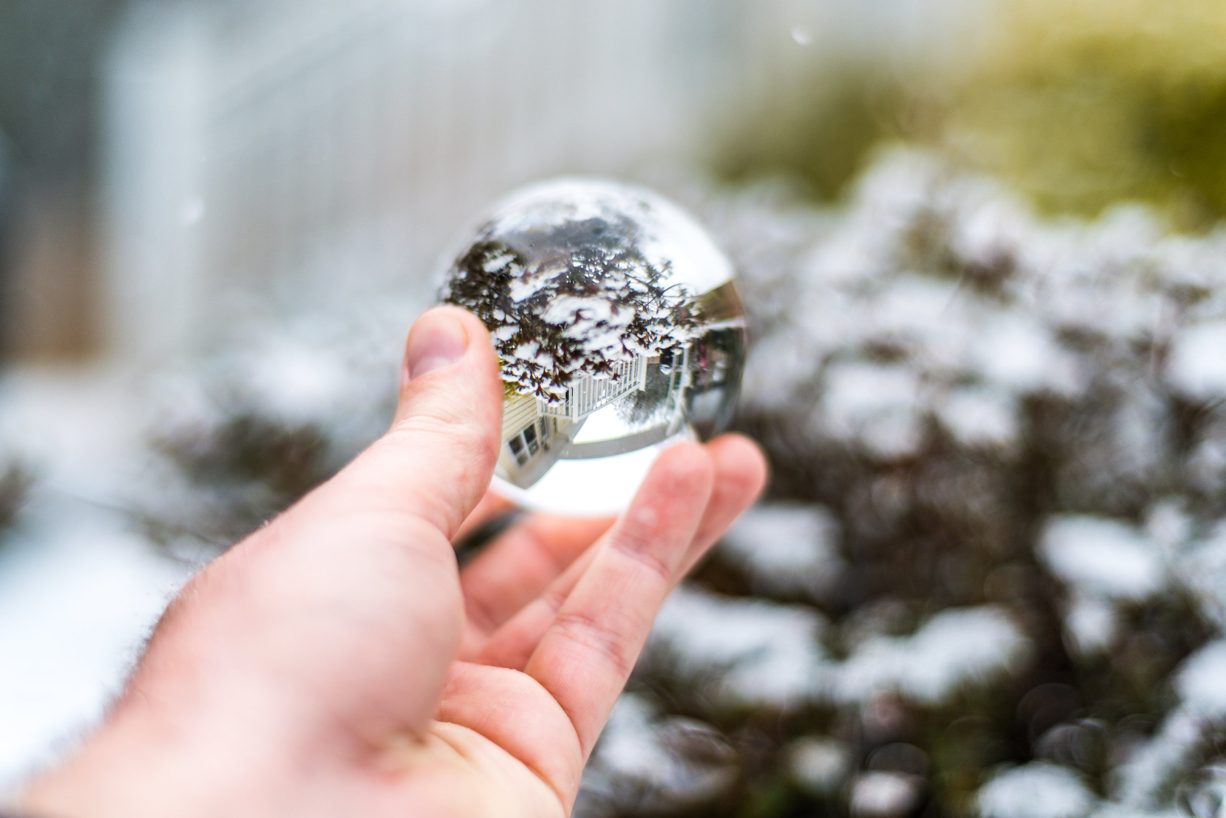 snow-20180117_0020.jpg