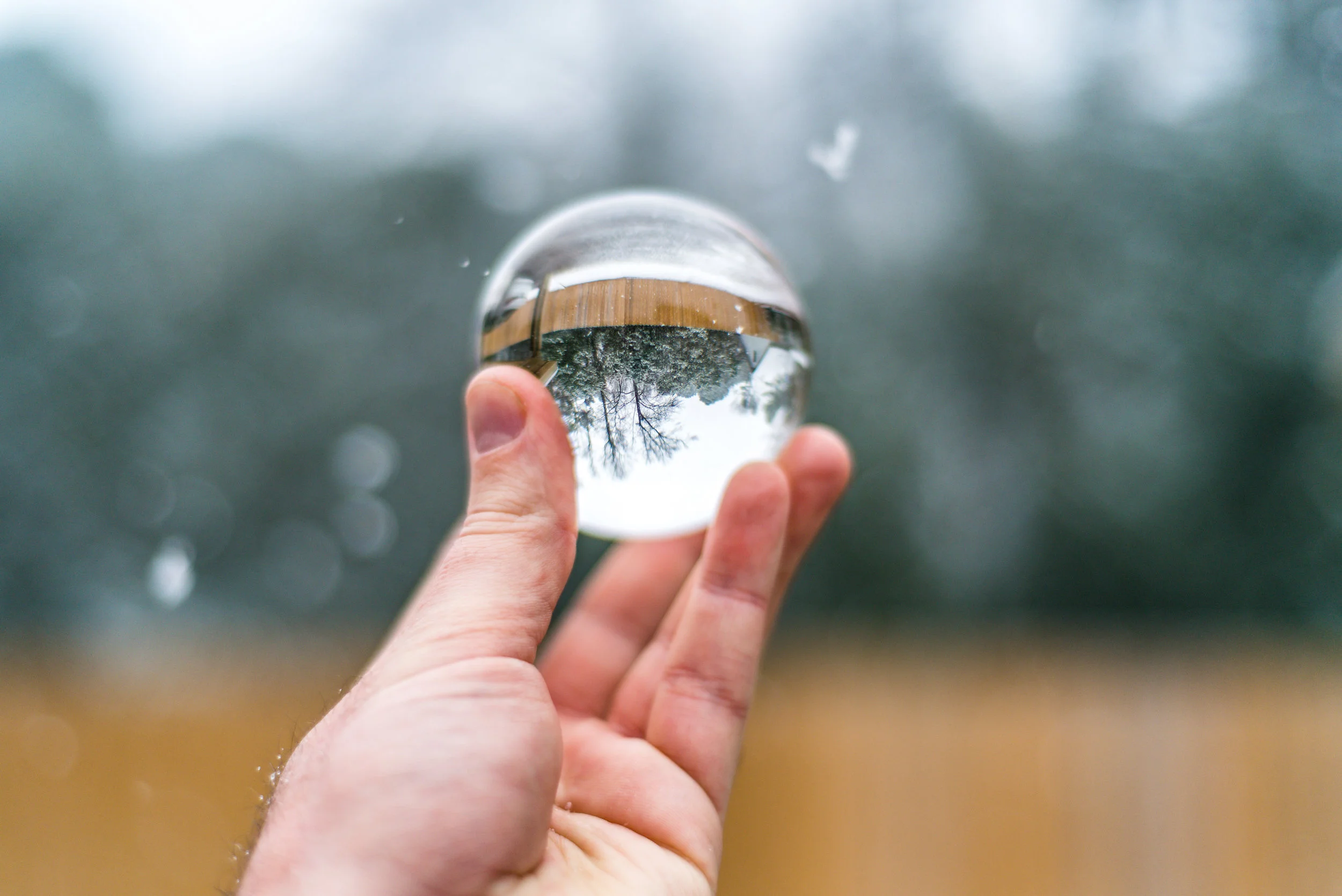 snow-20180117_0016.jpg