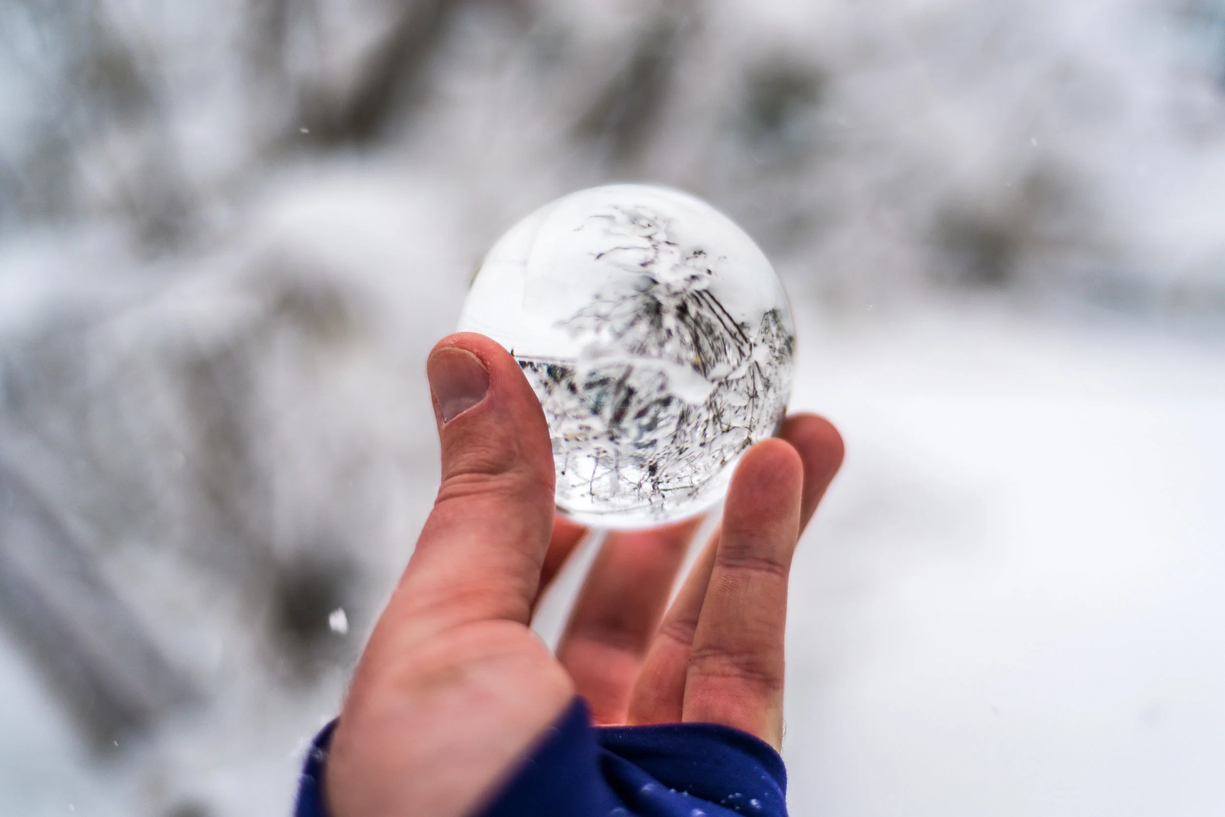 snow-20180117_0023.jpg