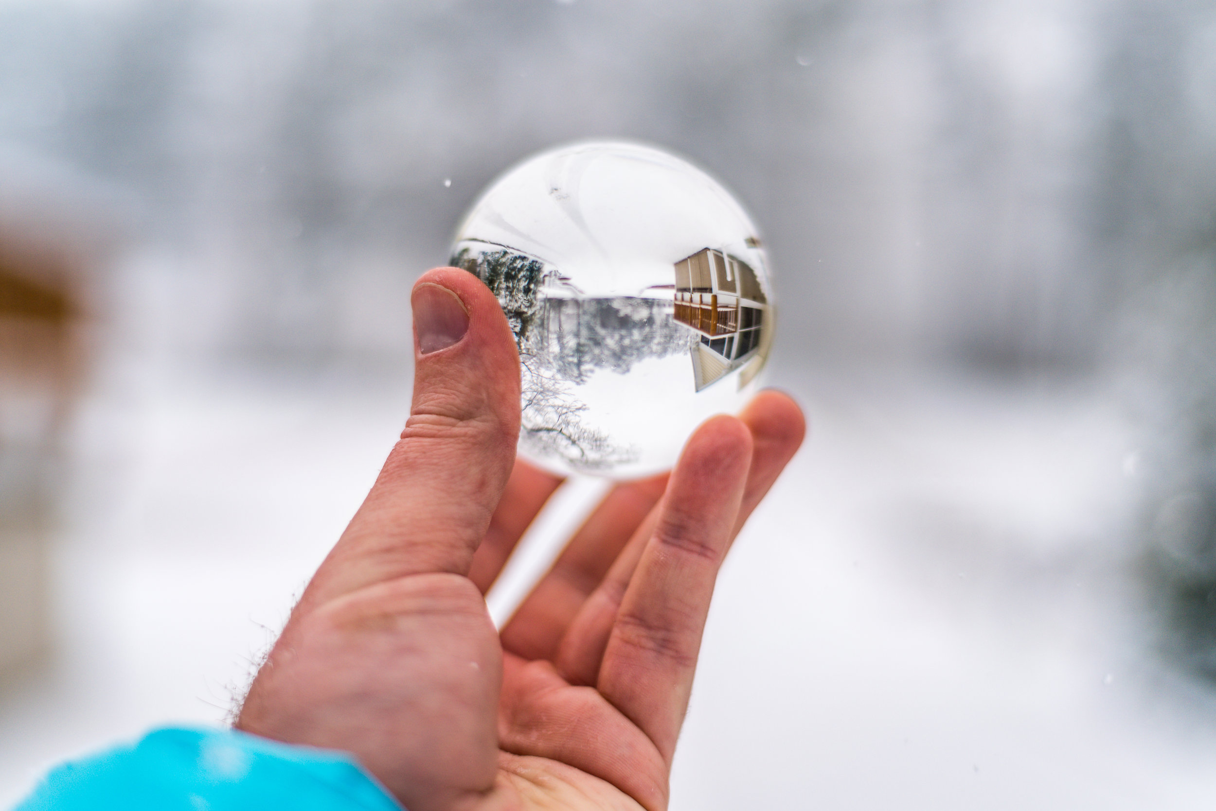 snow-20180117_0048.jpg