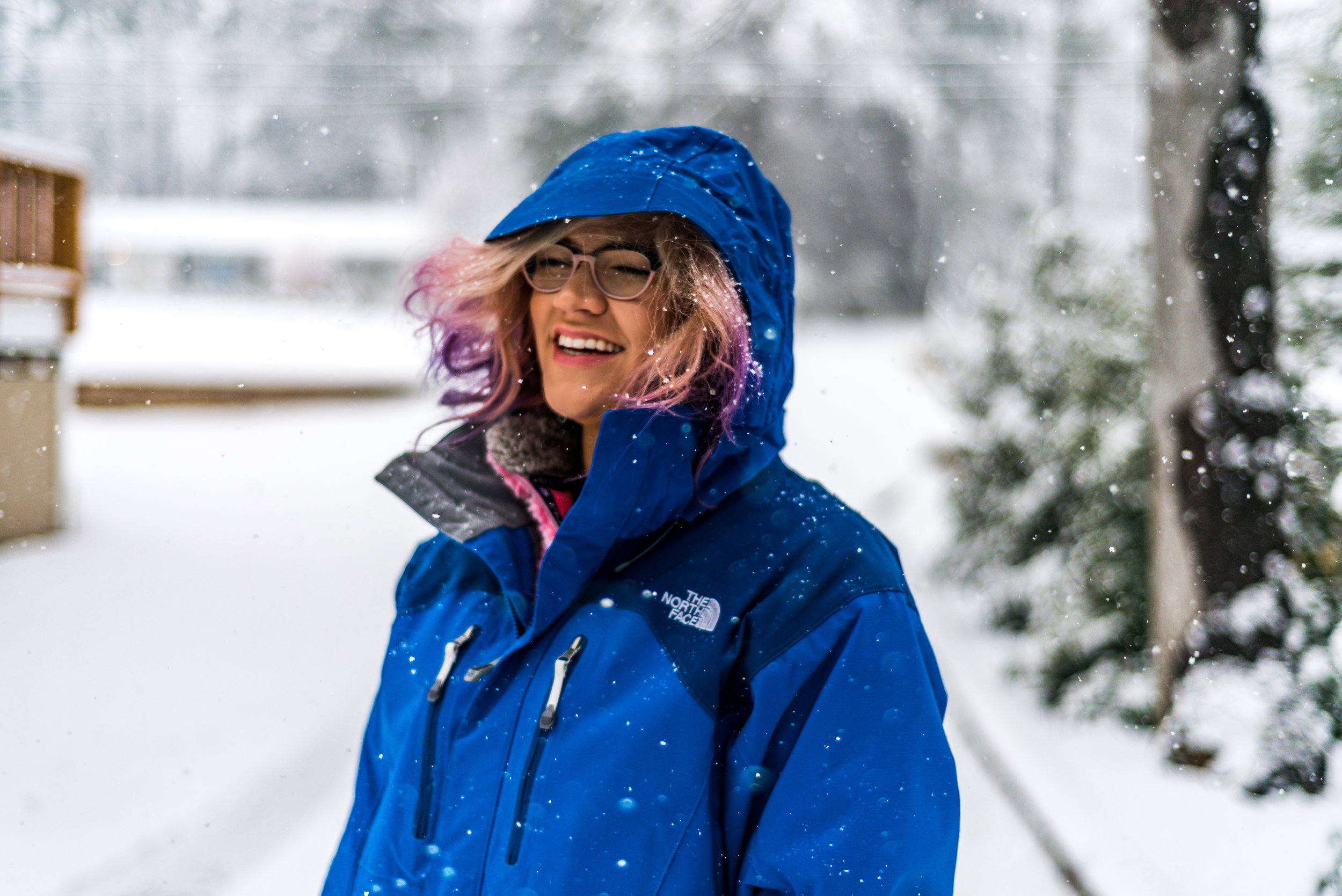 snow-20180117_0034.jpg