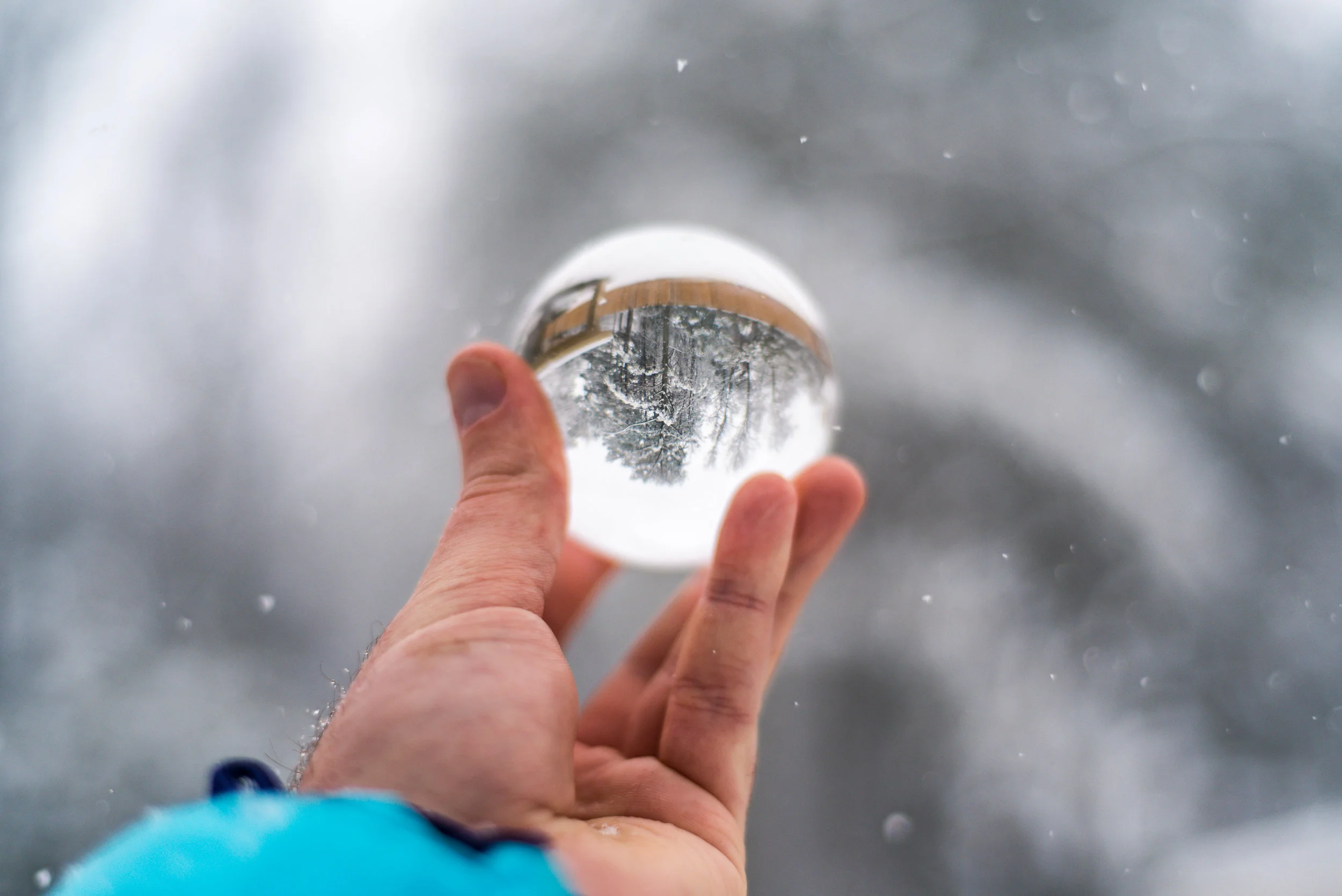 snow-20180117_0050.jpg