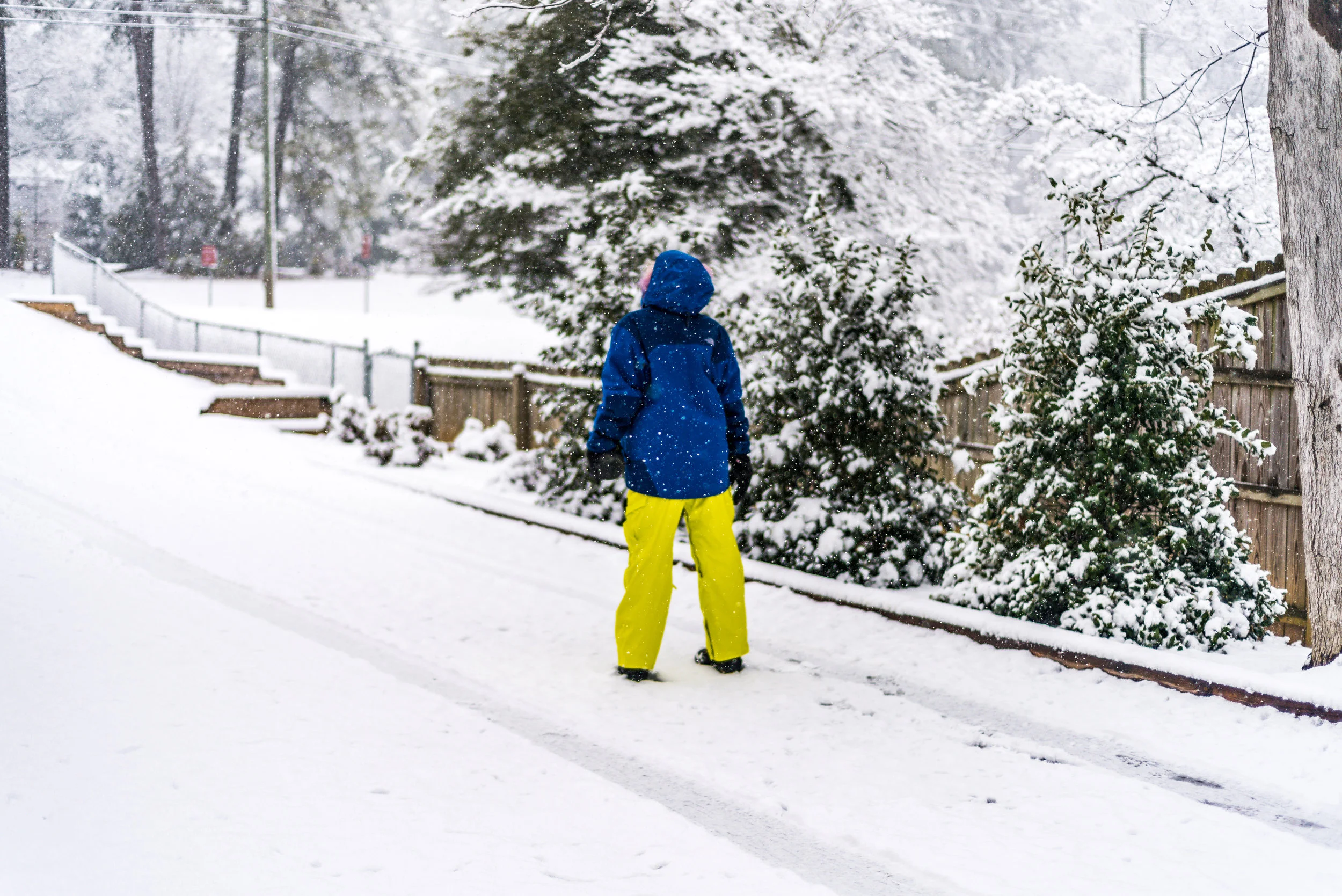 snow-20180117_0052.jpg
