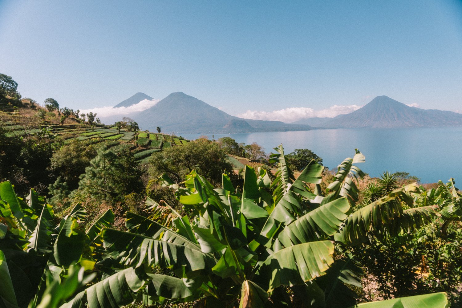 Goldeimer Guatemala_012024_web-49.jpg