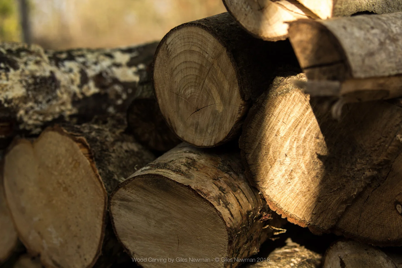 Wood-Carving-by-Giles-Newman-100-2.jpg