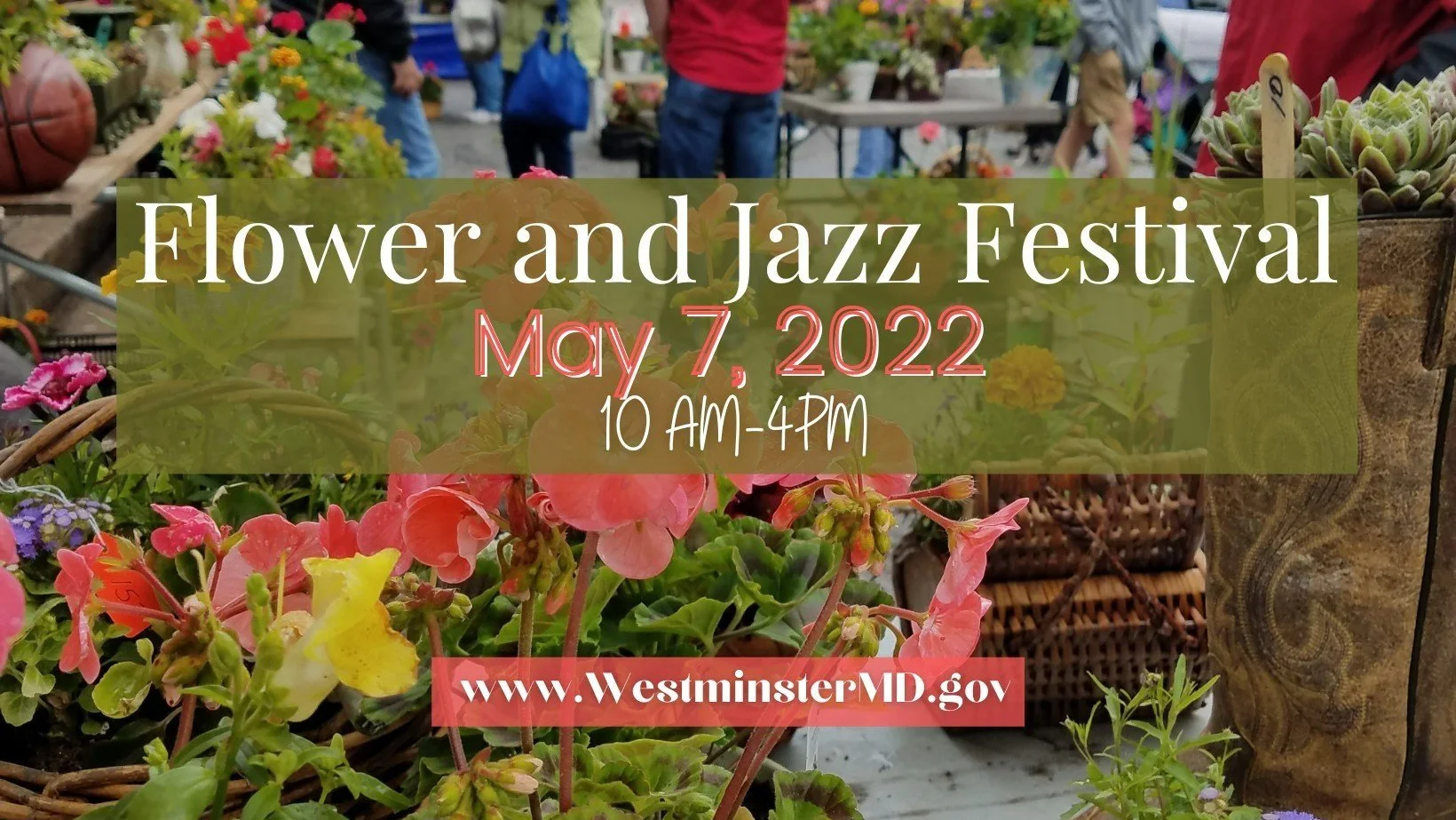 Serene Lavender Farm Events and Open House