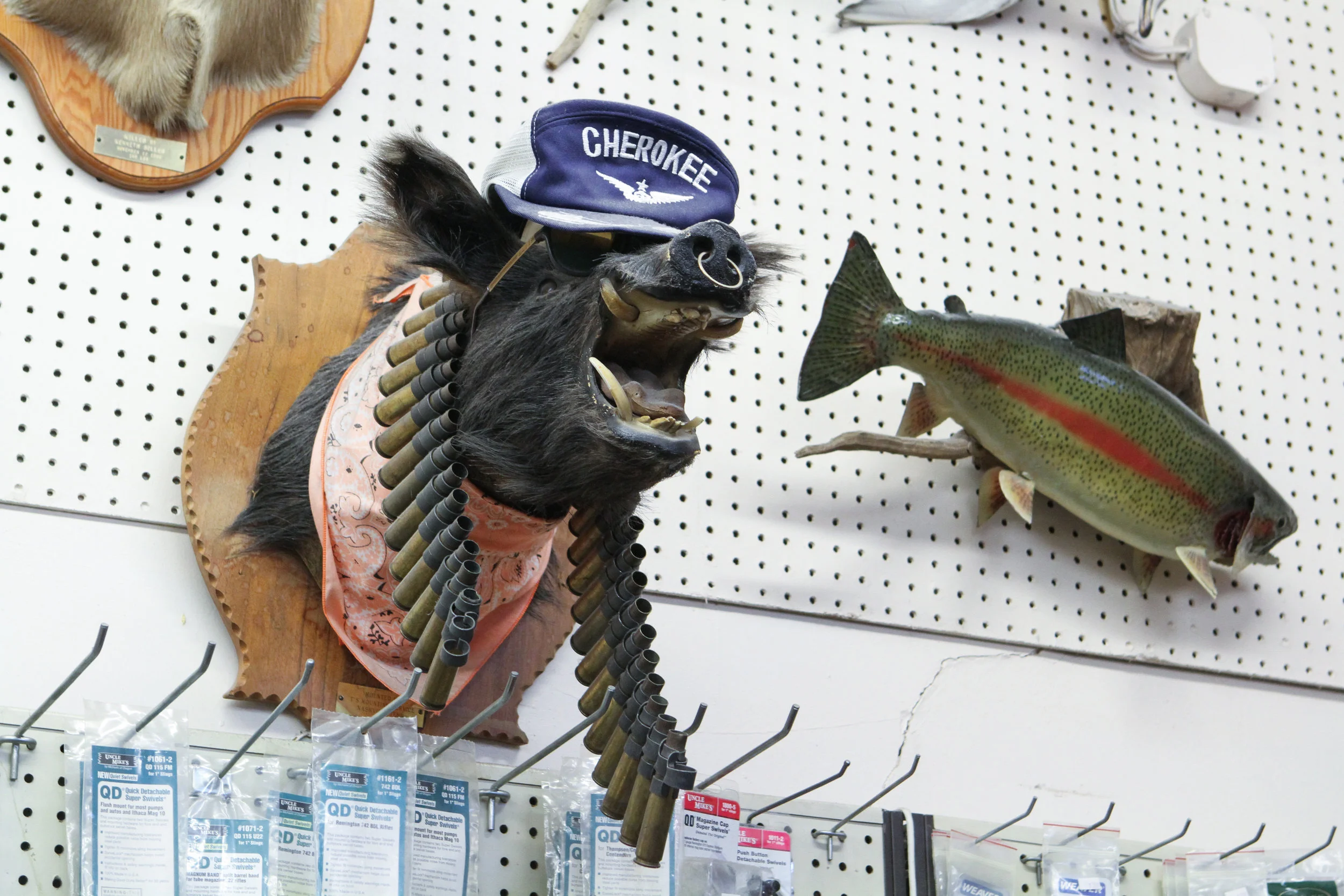 Friedman's ARMY NAVY-OUTDOOR STORE-3944.jpg