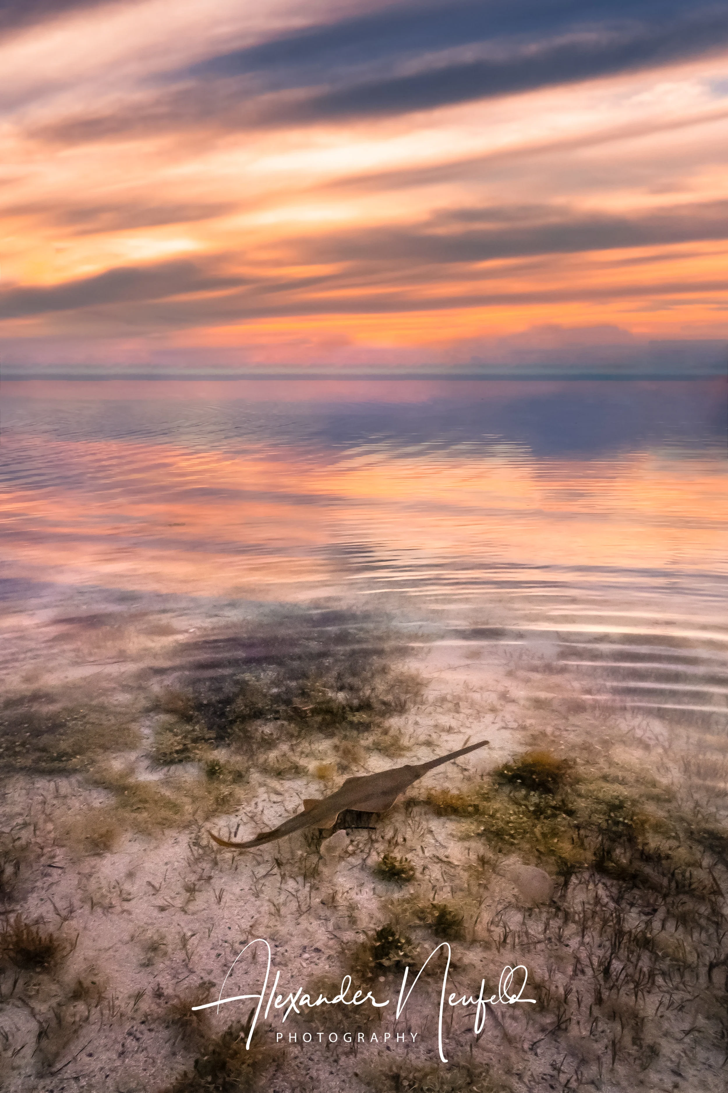 5G5A5653-Edit.jpg