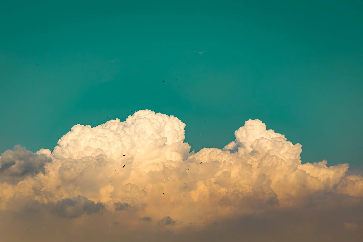 Familiar clouds reimagined in candy-coloured skies, suspended somewhere between observation and imagination.  © Zoral Naik 2024 