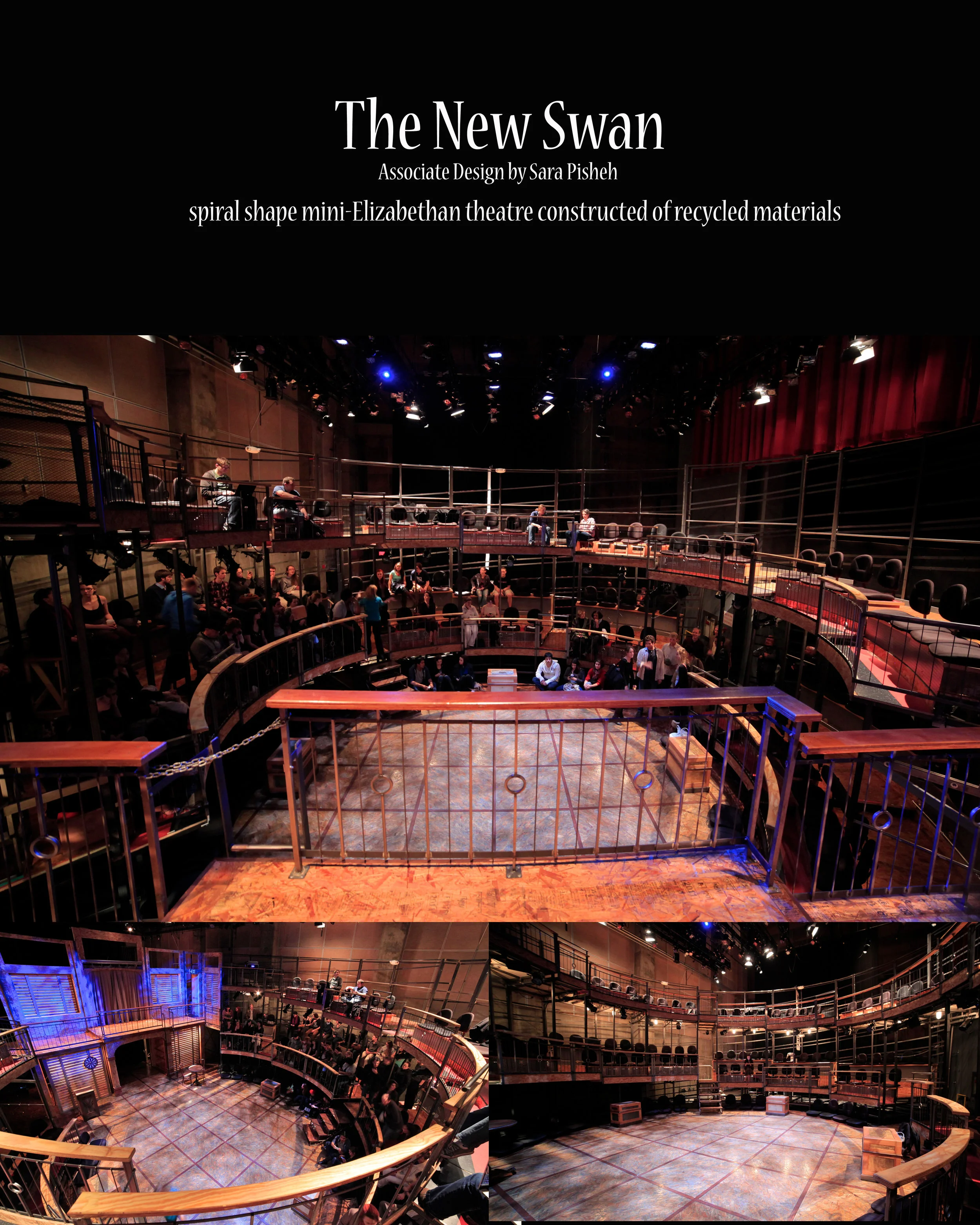 New swan poster.jpg