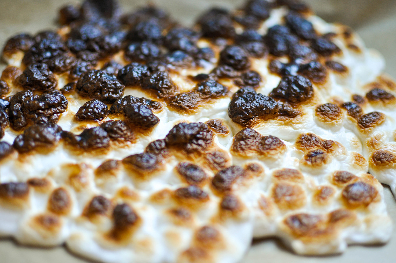 Toasty, Toasty...