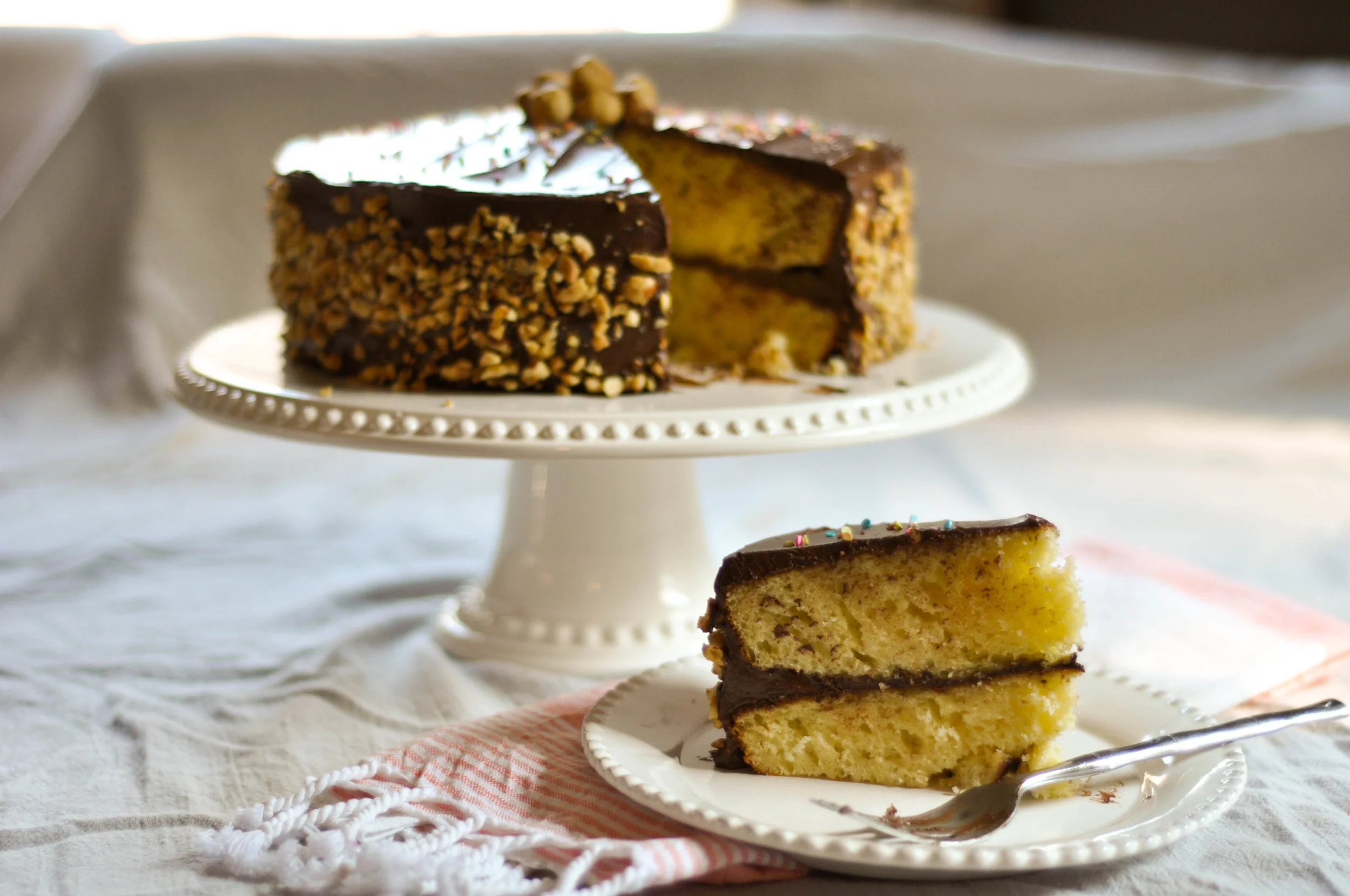 Vanilla Birthday Cake With Nutella Frosting_ Sliced CU.jpg
