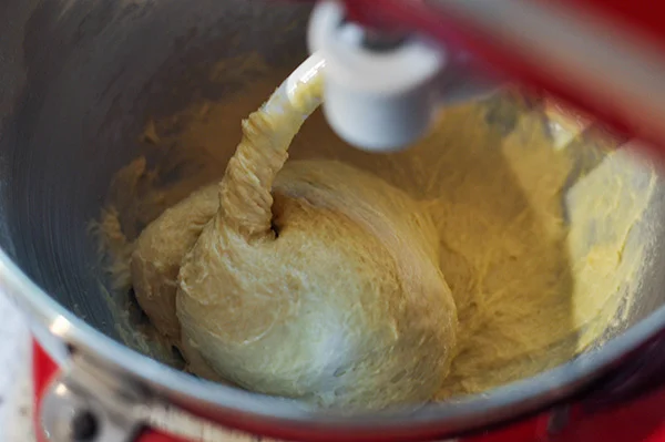 Nutella Buns_Dough in Mixer-0207.jpg